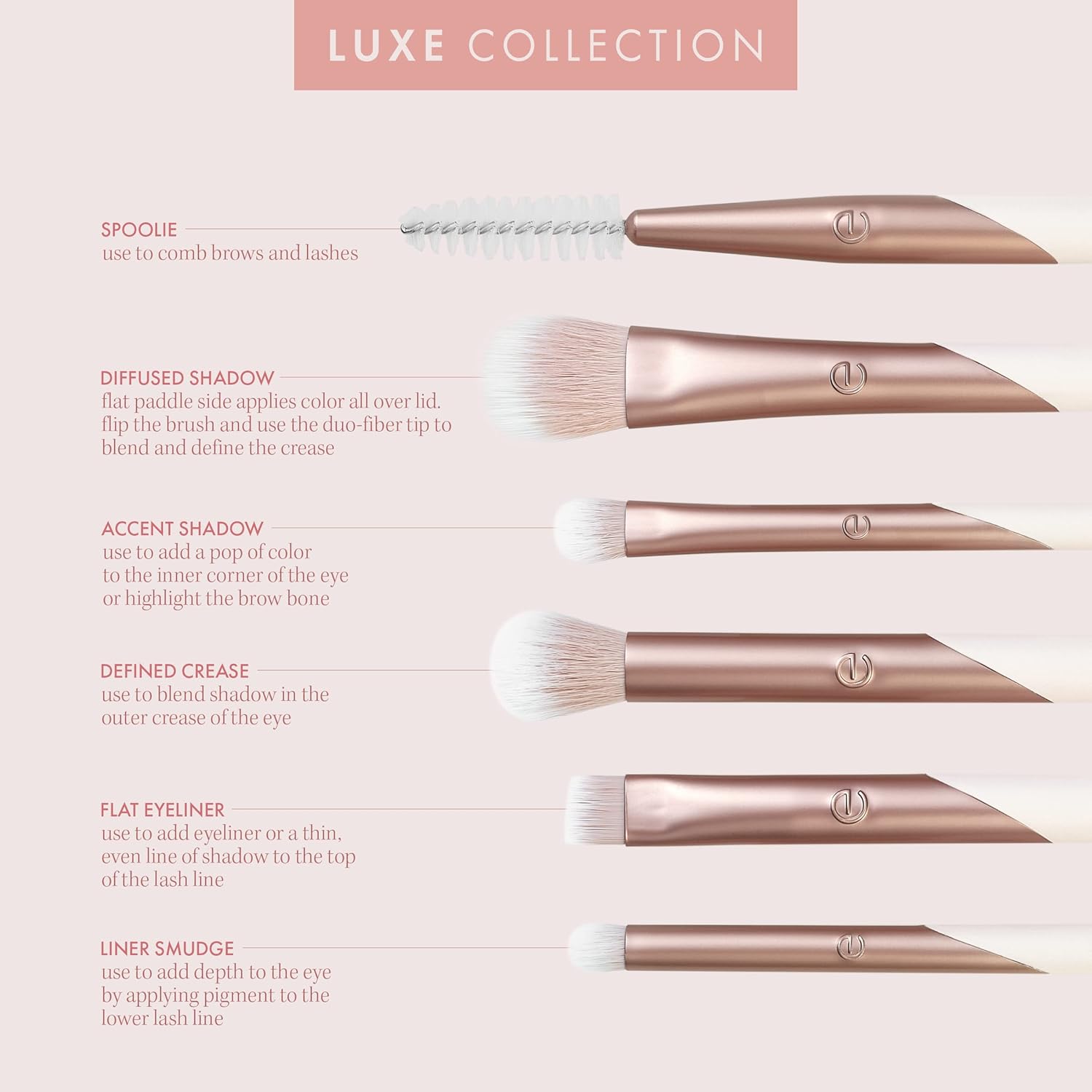 EcoTools Luxe Exquisite Eye Makeup Brush Kit, For Eyeshadow, Eyeliner, & Brow Makeup, Professional Eye Brush Set, Eco-Friendly Makeup Tools, Synthetic Bristles, Cruelty Free & Vegan, 6 Piece Set - Image 4