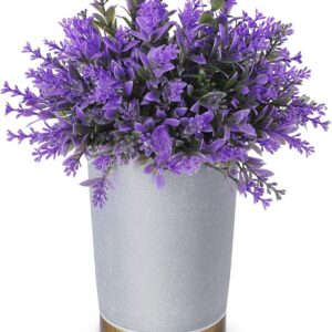 Essential Oil Diffusers, 150ml Aromatherapy Diffuser, Lavender Plant Potted Cold Mist humidifier, Ultrasonic Diffuser for Home Office, Super Quiet and Waterless auto Shut Off