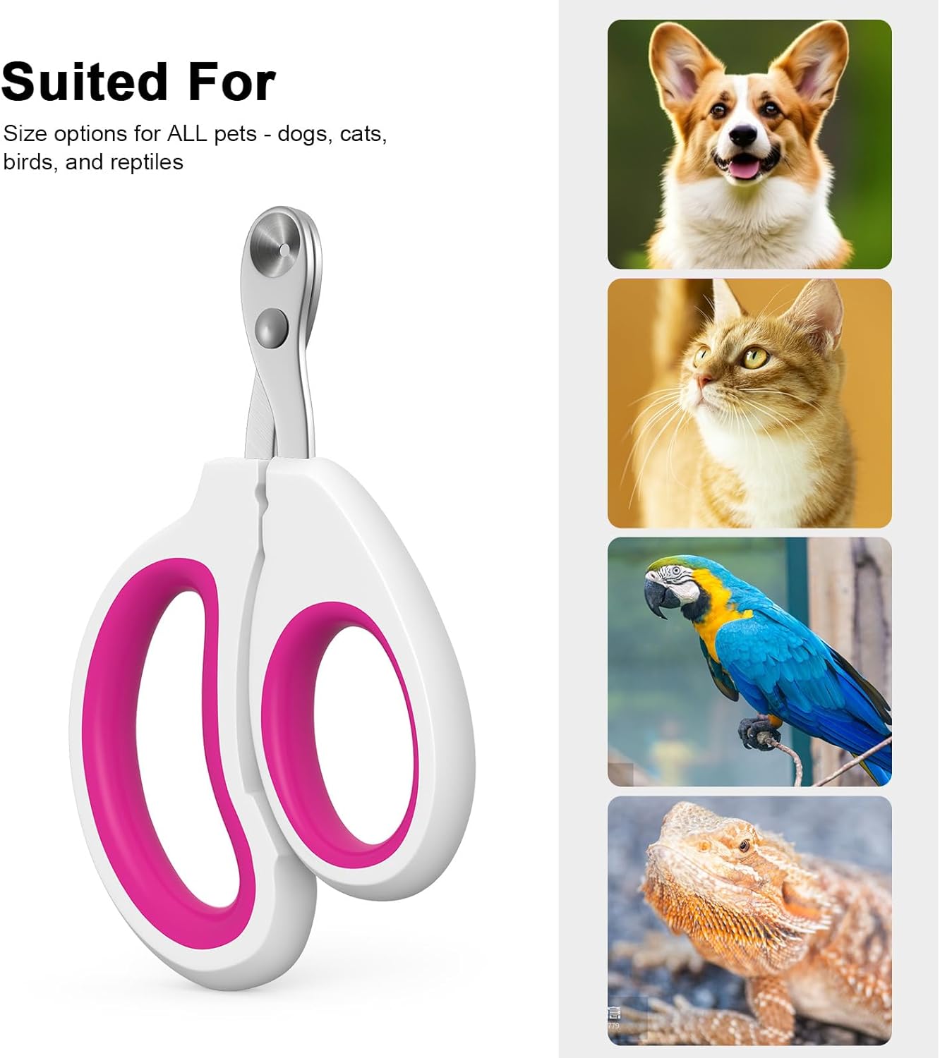 Cat Nail Clippers, Cat Claw Trimmers, Suitable for Small Animals Such as Cats, Birds, Hamsters, Rabbits, Hedgehogs, Ferrets, Chinchillas, Guinea Pigs,Etc. (Pink) - Image 4