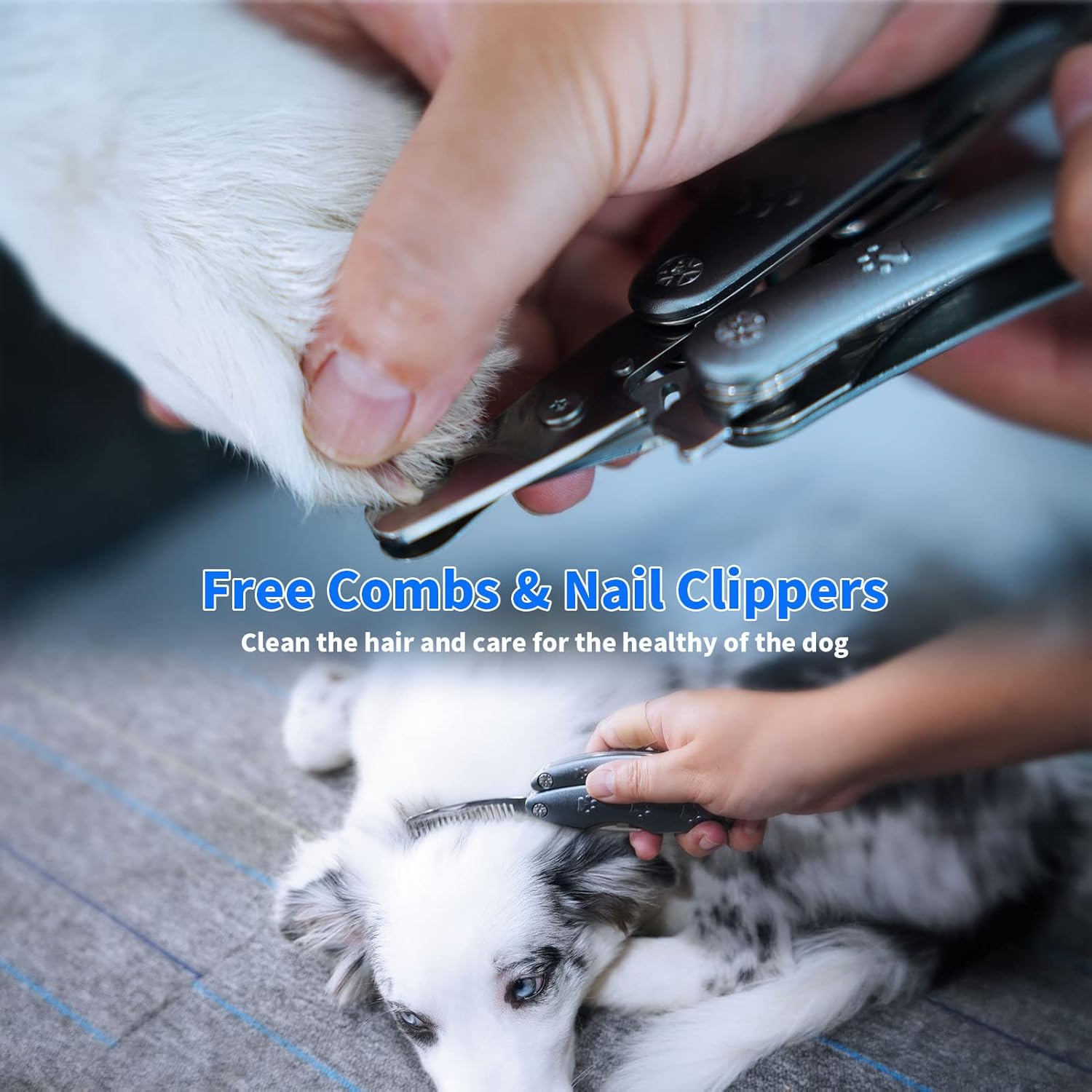 Best Dog Nail Trimmers for Anxiety Sensitive Dogs, Quiet Sharpest Smoothest Nail Clippers for Large Dog Medium Small, Professional Stainless Steel with Nail File & Comb, Left-Handed Friendly - Image 2