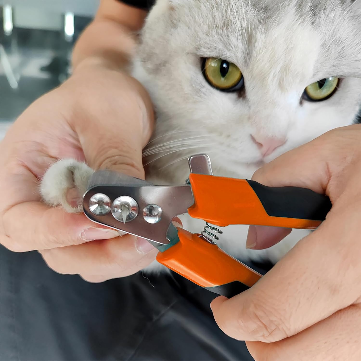 Trumoon Cat Claw Clippers Two Round Cut Holes with Different Sizes (2mm & 3mm) - Cat Nail Trimmers Suitable for Cats and Other Small Animals with Different Stages of Growth(Orange) - Image 4