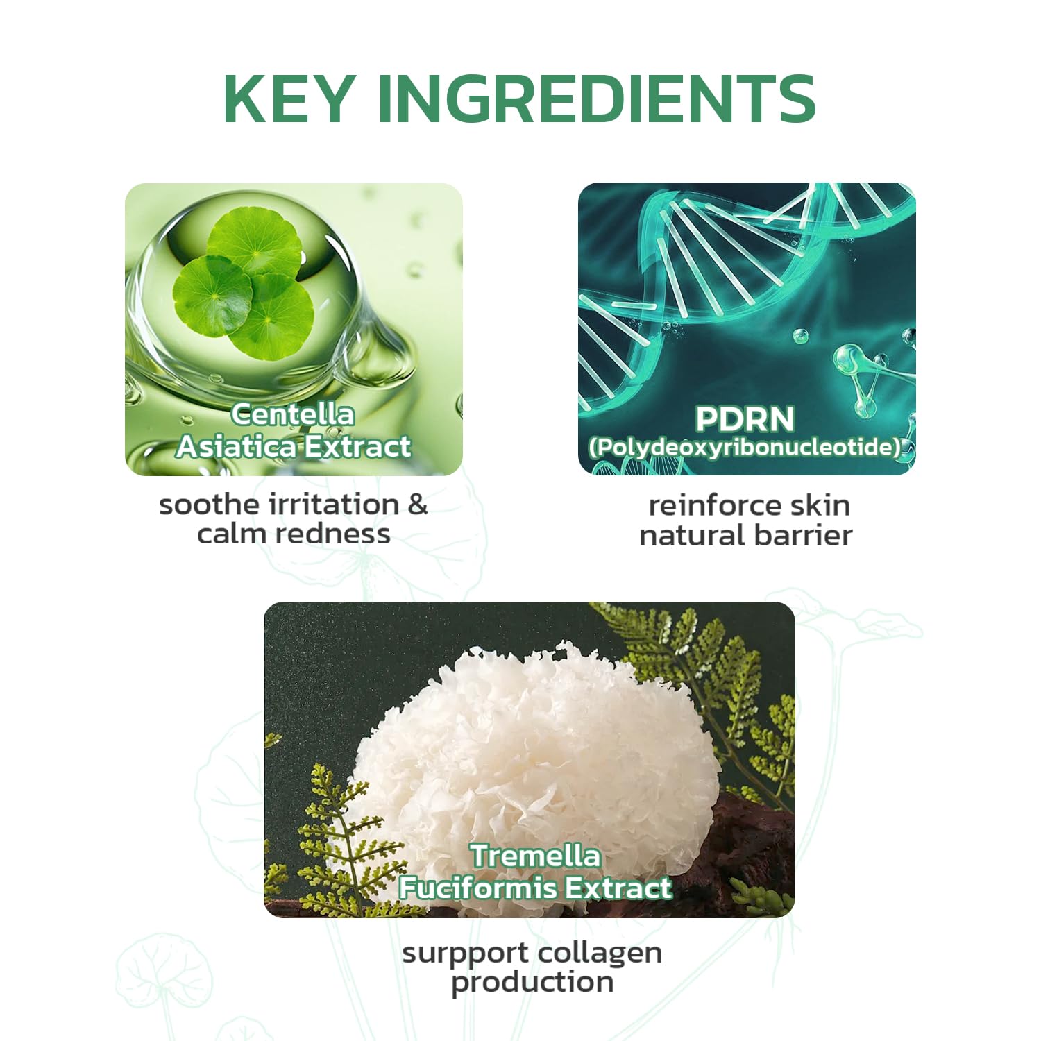 Centella Asiatica Moisturizer Phytocin Cream Centella Soothing Moisturizer for Dry, Sensitive, Acne Prone Skin with PDRN,Ceramide 30ML 1.01fl.oz - Image 3