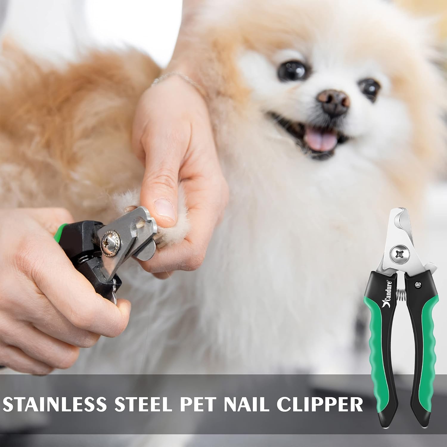 Candure Dog Nail Clippers Professional Pet Nail Clipper Suitable for Cats, Rabbits and Guinea Pigs - Safety Lock/Protective Guard to Avoid Over Cutting (Green, Medium to Small) - Image 8
