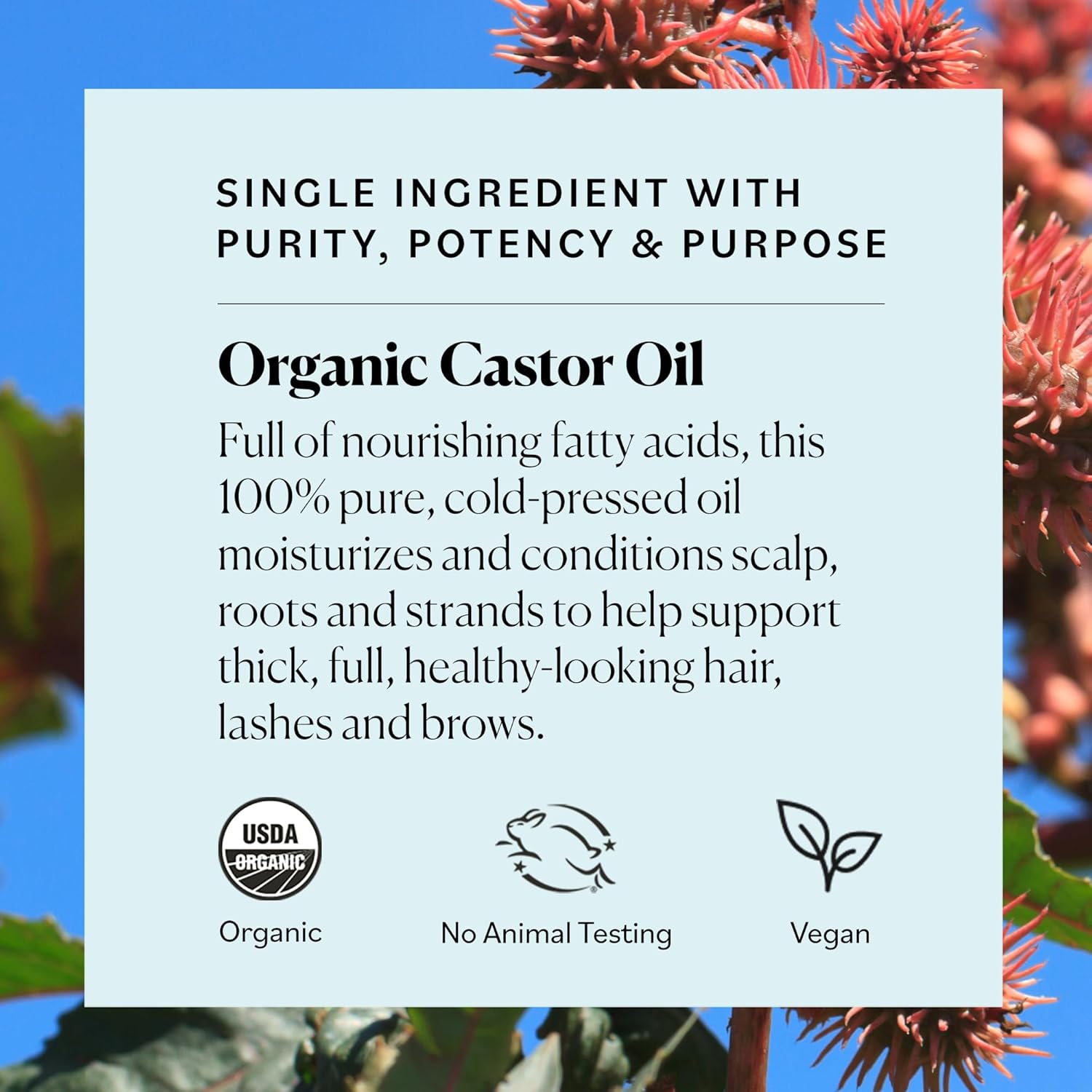 Sky Organics Organic Castor Oil Eyelash & Brow Serum, Hexane-Free Conditioning Oil that Promotes Fuller Looking Lashes & Eye Brows, 100% Pure & Cold-Pressed 1 fl. Oz. / 30 ml w ebook - Image 5
