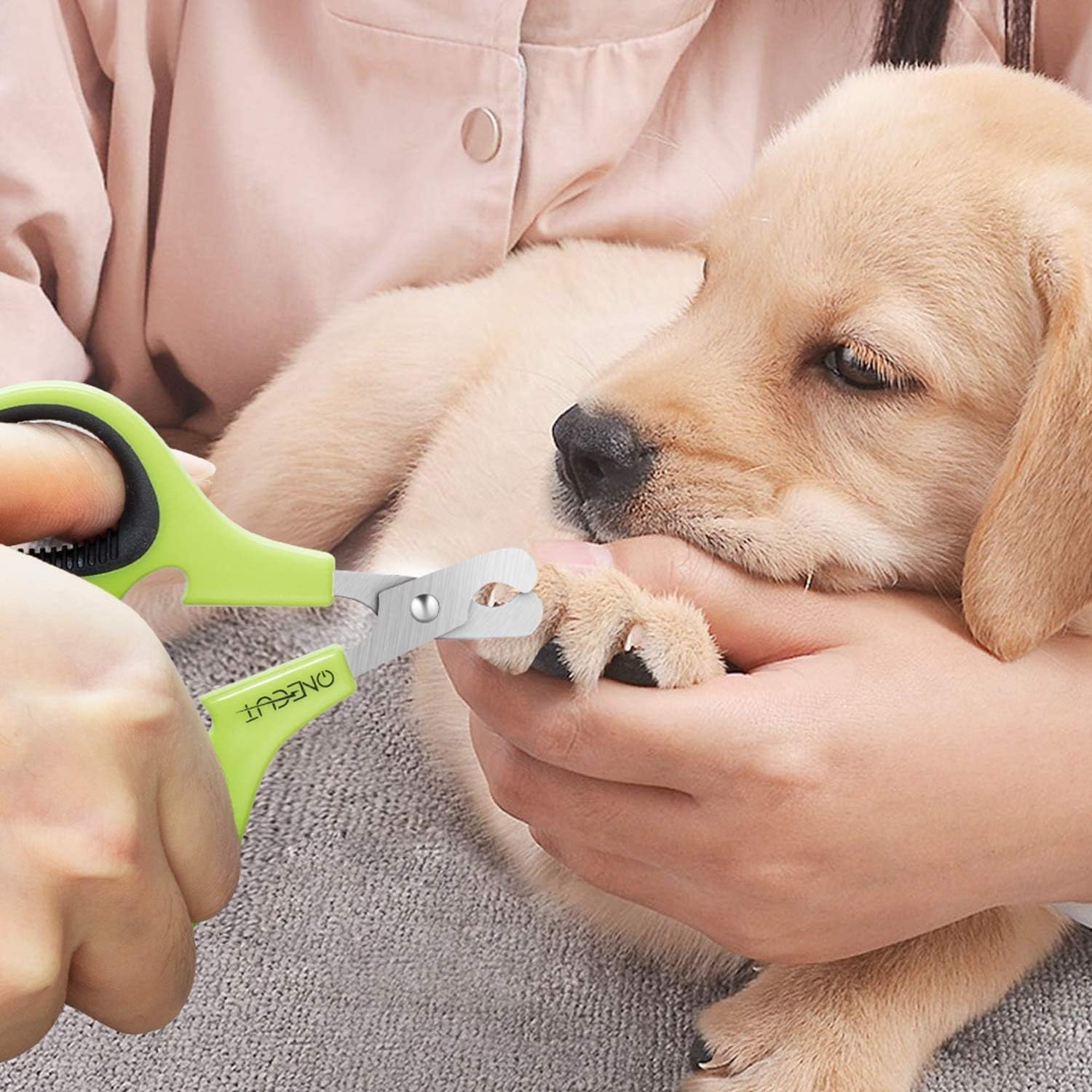 OneCut Pet Nail Clippers, Update Version Cat & Kitten Claw Nail Clippers for Trimming, Professional Pet Nail Clippers Best for a Cat, Puppy,Rabbit, Kitten & Small Dog,Sharp & Safe (Green) - Image 5