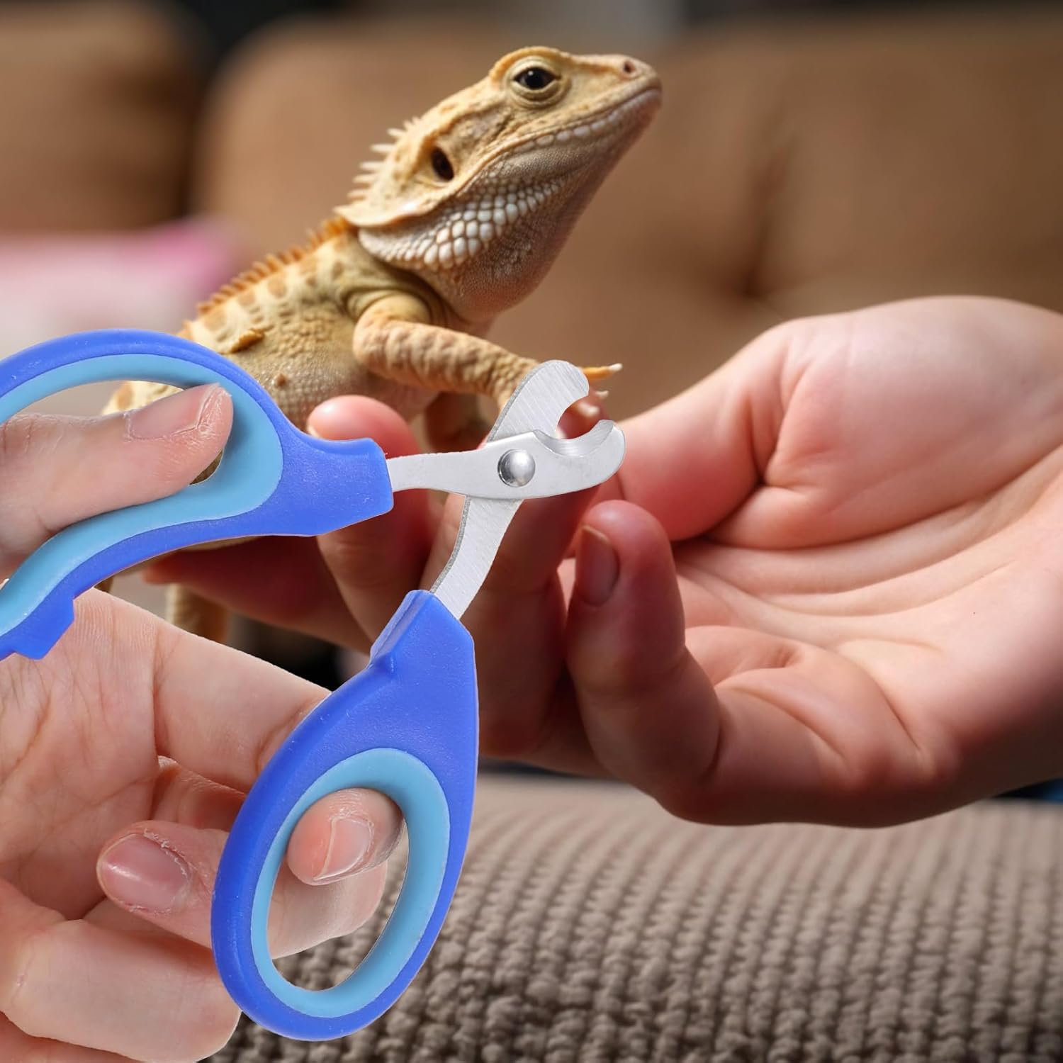 Stainless Steel Bearded Dragon Cat Nail Clippers, Pet Toe Nail Clippers Professional Grooming Supplies for Bird Small Reptiles Guinea Pig Dog Rabbit Turtle,Chameleon,Iguana - Image 5