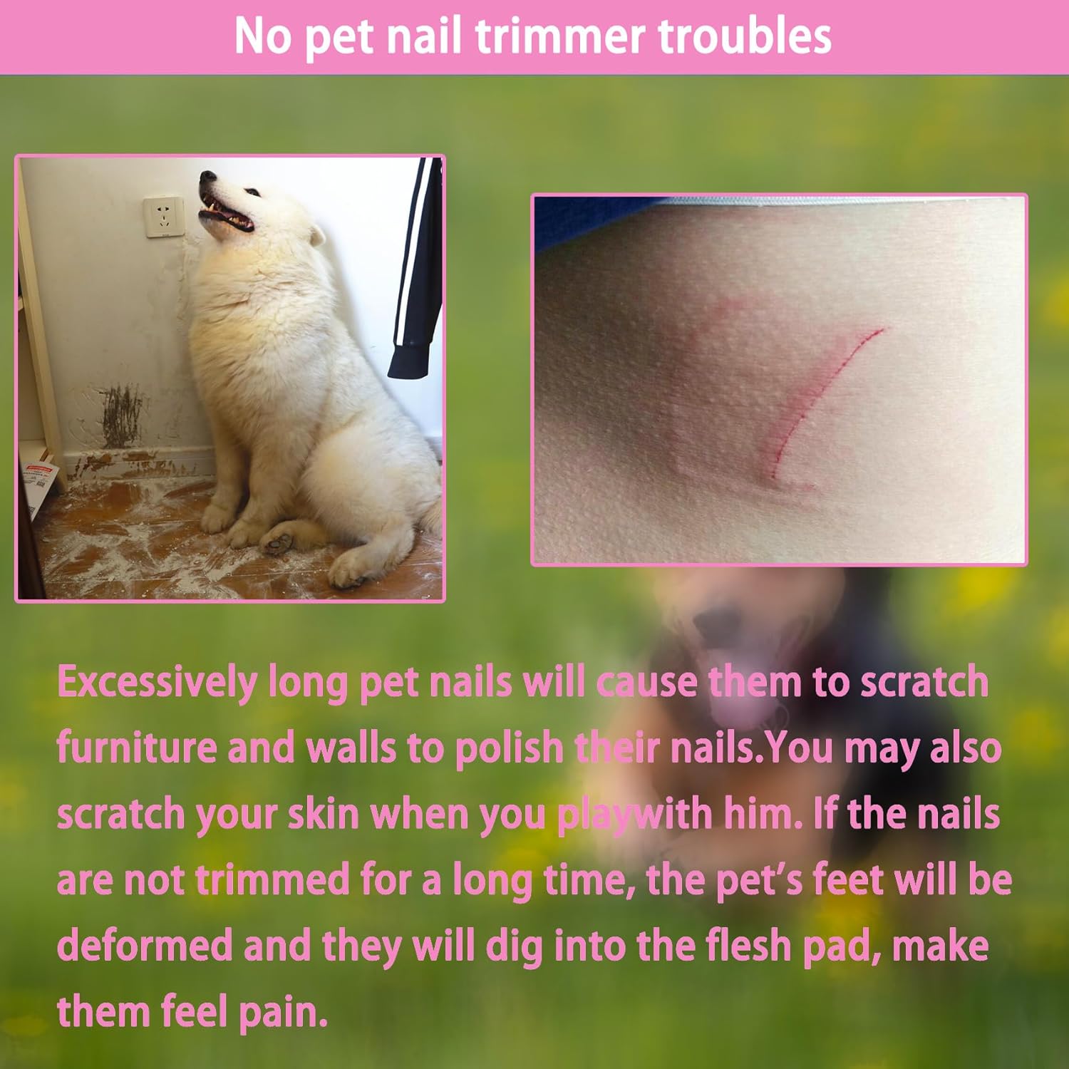 5Pcs Dogs and Cats Grooming Nail Clippers Kit Pet Claws Nail Clipper Trimmers, with Protective Guard Lock to Avoid Over Cutting, Professional Trimmers for Large and Small Cat and Dog Animal. (Pink) - Image 6
