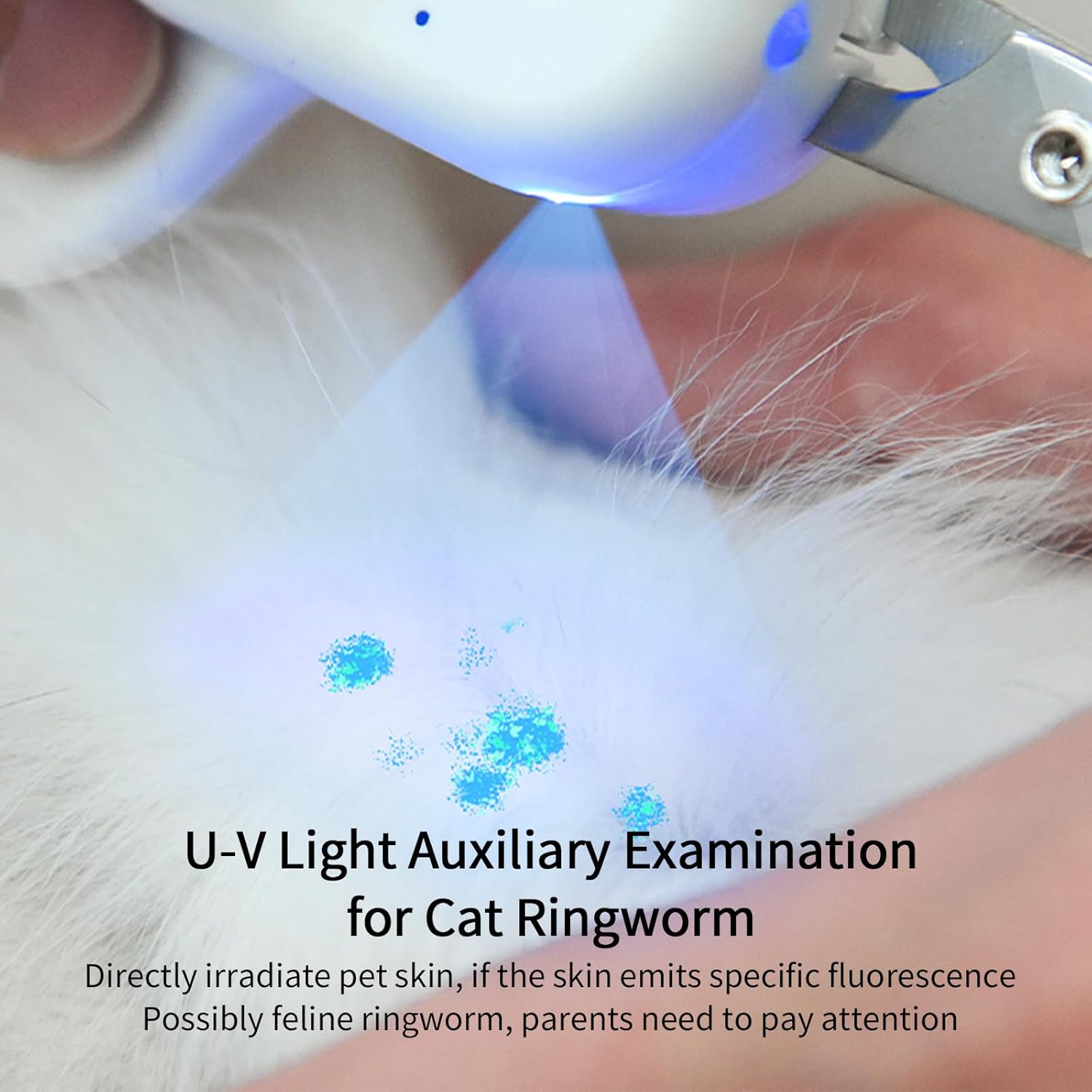 PAKEWAY Pet Nail Clipper with LED & -U-V Light, Cat Claw Trimmer with Ultra Bright LED Light for Nail Bloodline to Avoid Over Cutting, Sharp Angled Blade Grooming Tool for Dog Cat Rabbit Small Animals - Image 2