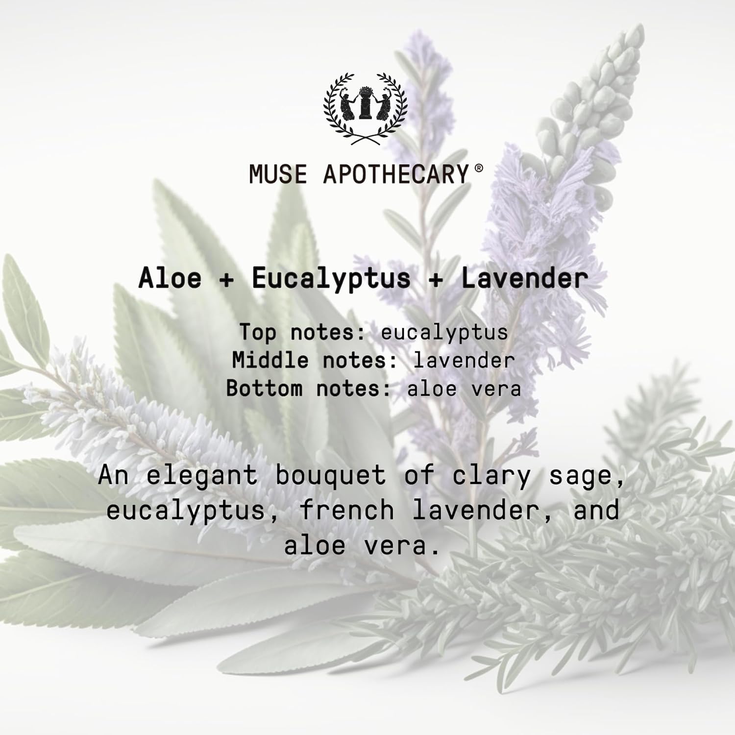 Muse Apothecary Flush Ritual - Aromatic & Refreshing Toilet Spray, Use Before You Go, 4 oz, Infused with Natural Essential Oils - Aloe + Eucalyptus + Lavender - Image 8