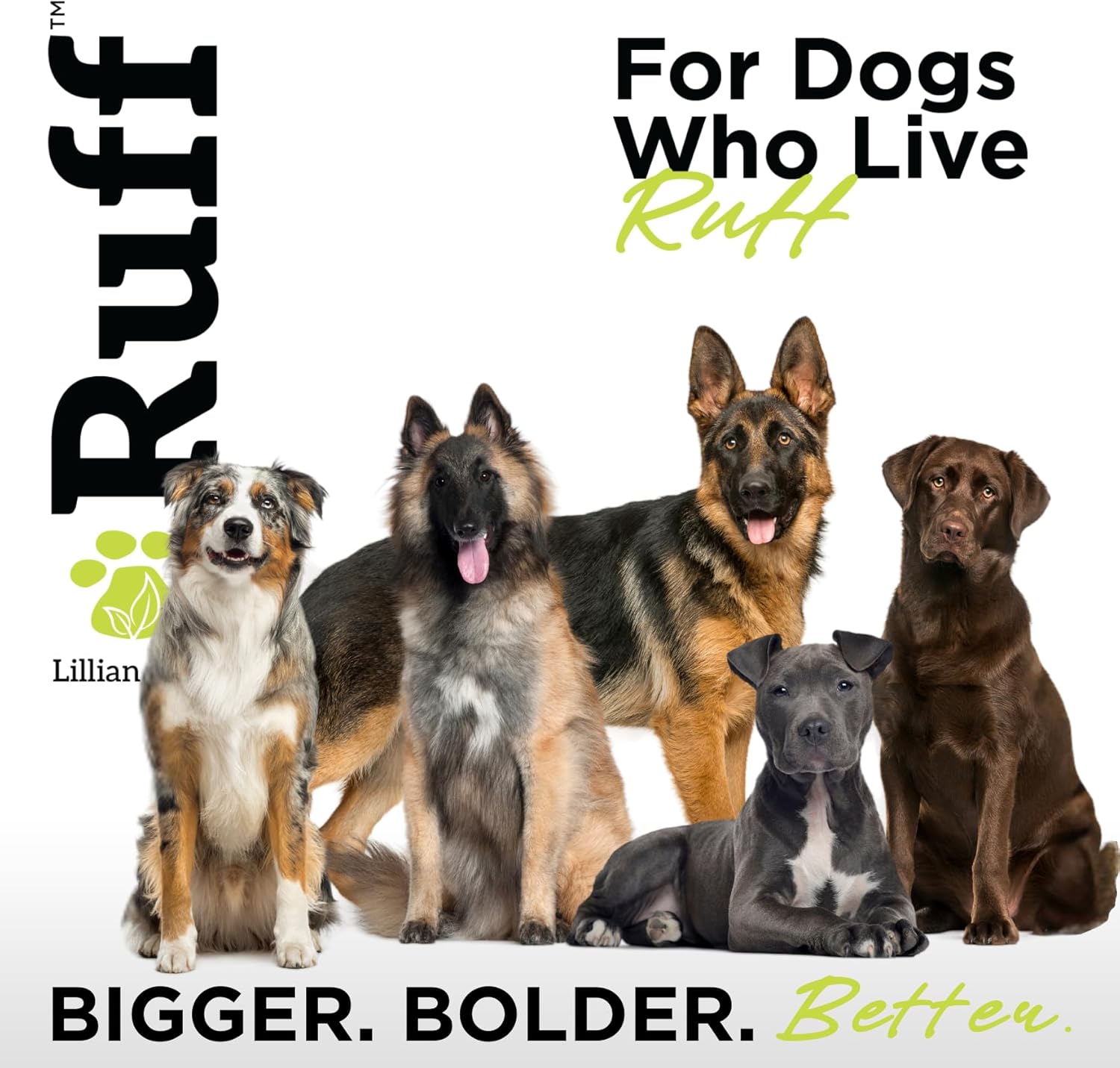 Ruff by Lillian Ruff Deshedding Dog Shampoo | Coconut Lime | Vitamin E, Omega-3, Aloe & Coconut Oil | Relieves Shedding, Itching & Hot Spots | Moisturizing & Deodorizing | Safe for Puppies | USA Made - Image 8