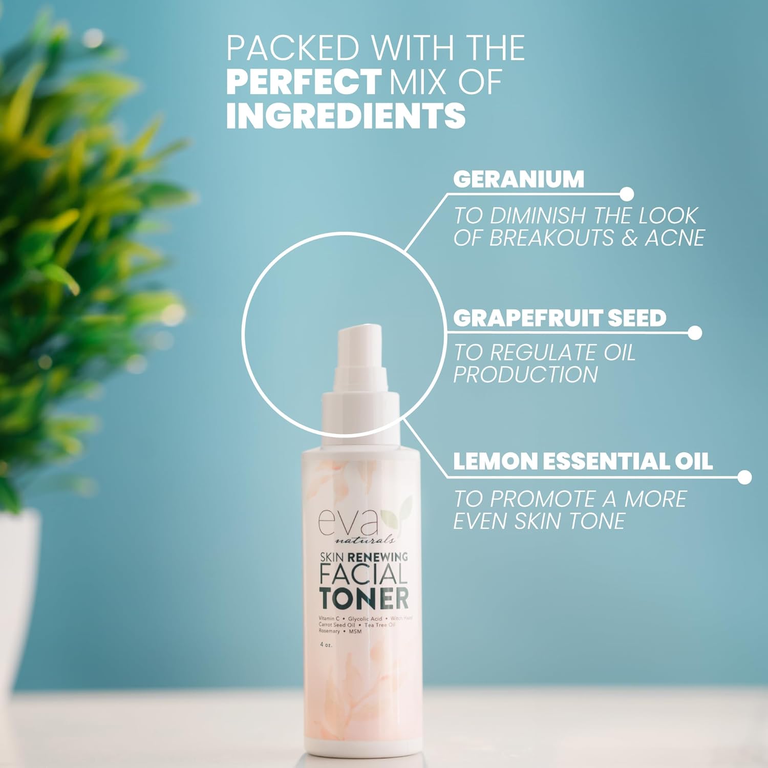 Witch Hazel Face Toner - Dry/Sensitive/Acne/Oily Skin - Hydrating Toner (4oz) - Image 5