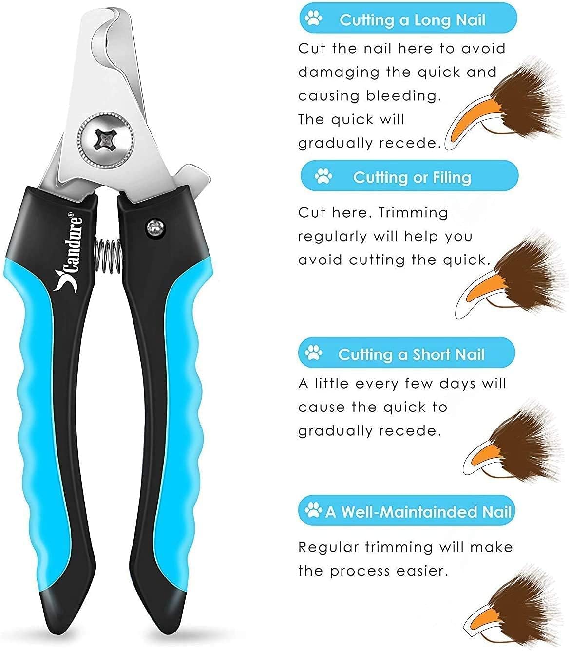 Candure Dog Nail Clippers Professional Dog Nail Trimmers Suitable for Large to Medium Dogs, Cats, Rabbits and Guinea Pigs - Safety Lock/Protective Guard to Avoid Over Cutting - Image 6