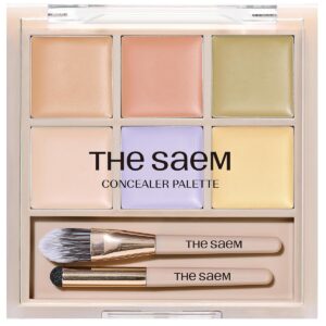 THESAEM Cover Perfection Concealer Palette 01 Cover&Correct - Multi Use 6 Colors Correcting Conceal Palette - for Dark Circles, Imperfections, Face Tone Corrector, Ideal for Fair to Light Skin