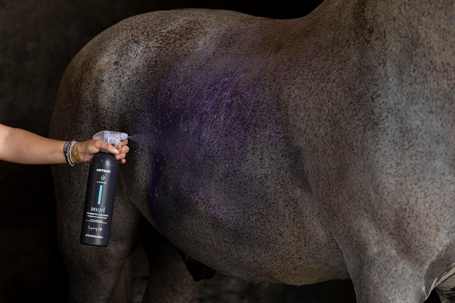 Artero Angel. Whitening Shampoo for White Horse Hair of Dapple-Coated equines