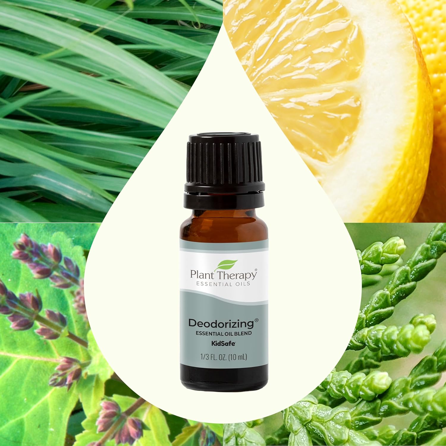 Plant Therapy Deodorizing Essential Oil Blend 10 mL 100% Pure Undiluted - Image 3