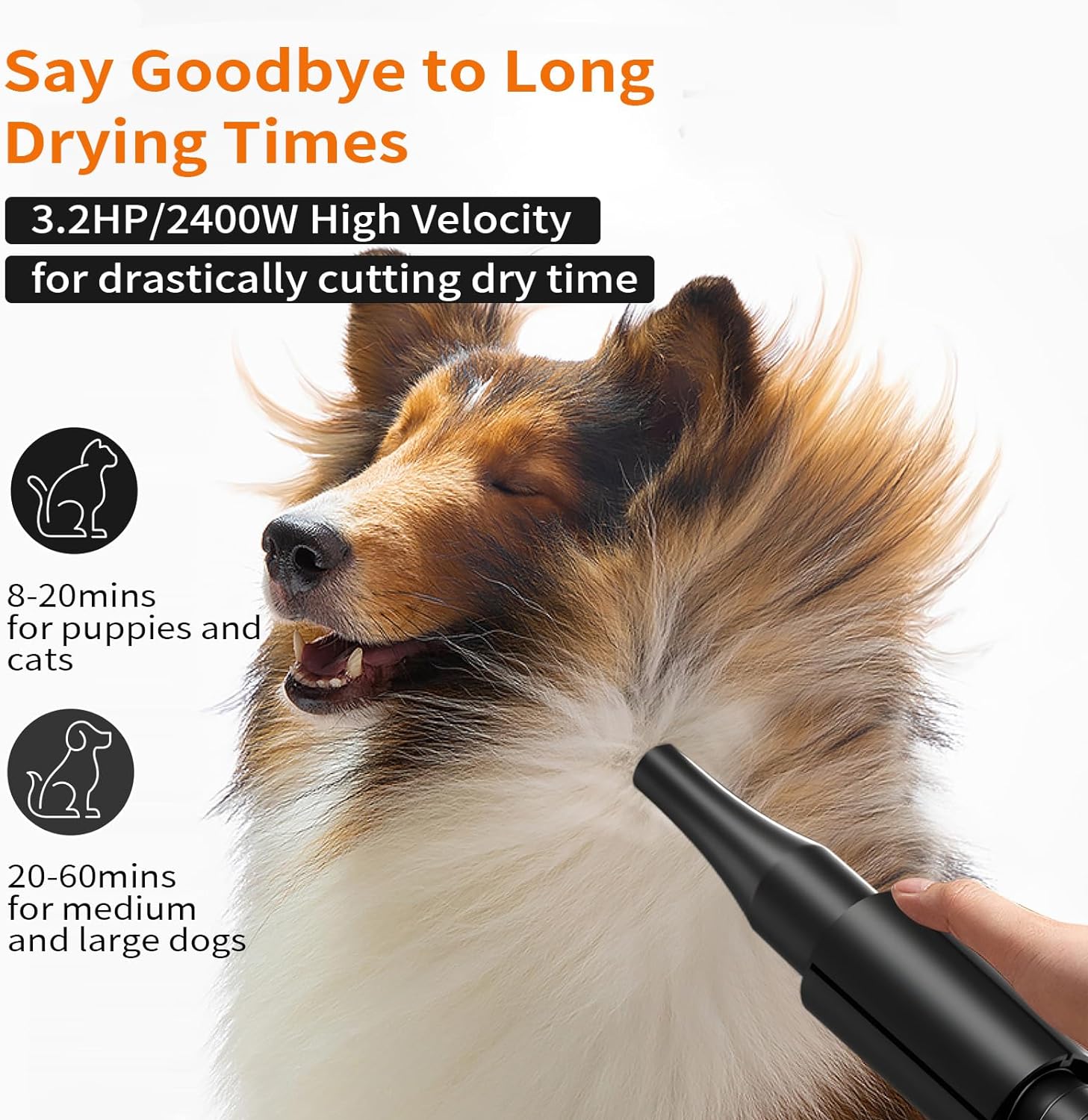 PETNF High Velocity Dog Dryer for Grooming Large Dogs, 3.2HP, Adjustable Speed and Temperature - Image 2