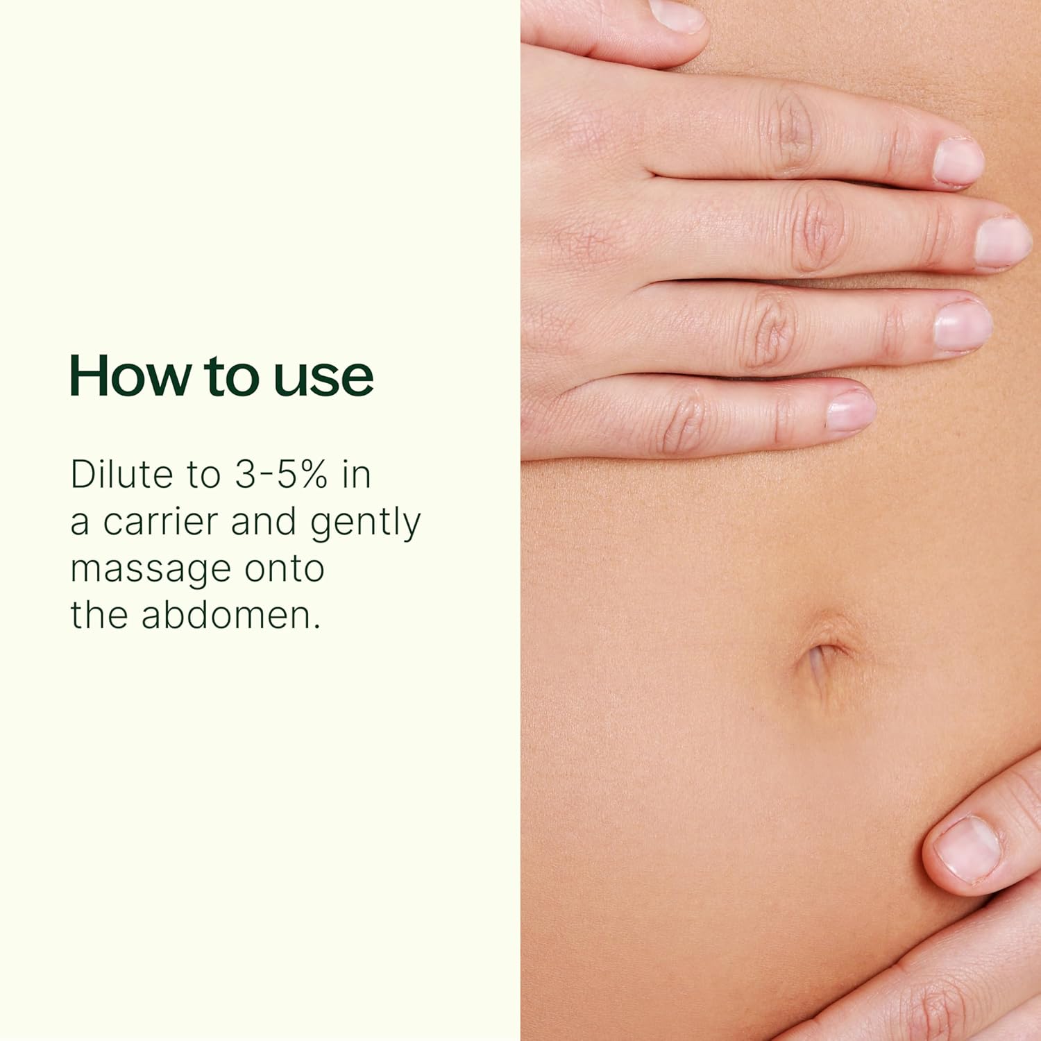 Plant Therapy Gut Aid Essential Oil Blend 10 mL 100% Pure Natural Aromatherapy for Stomach Relief - Image 2