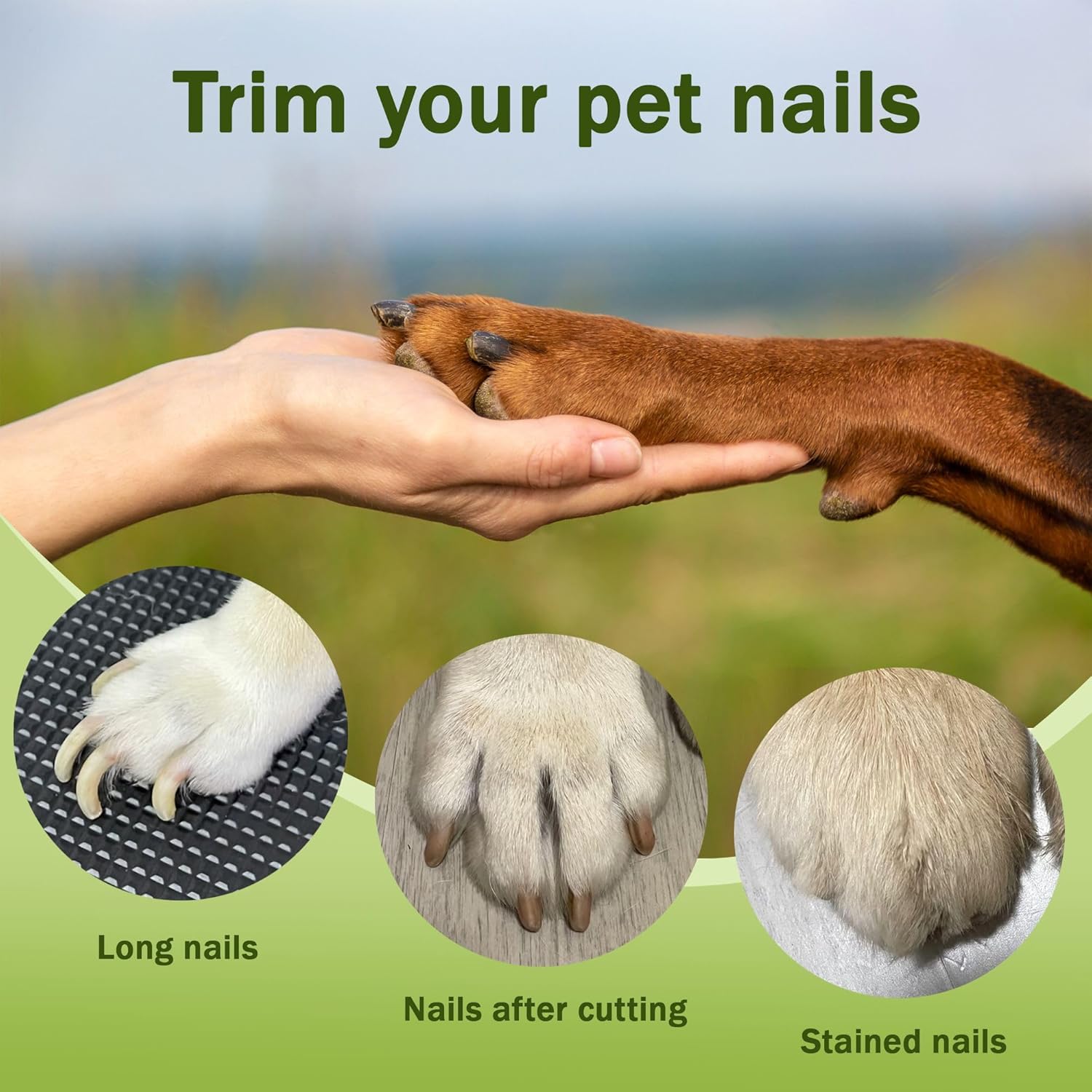 2-in-1 Dog Nail Grinder & Dog Nail Clippers Trimmers for Large Medium Small Dogs Cats Pets Claw Trimmer with LED Lights (White) - Image 7