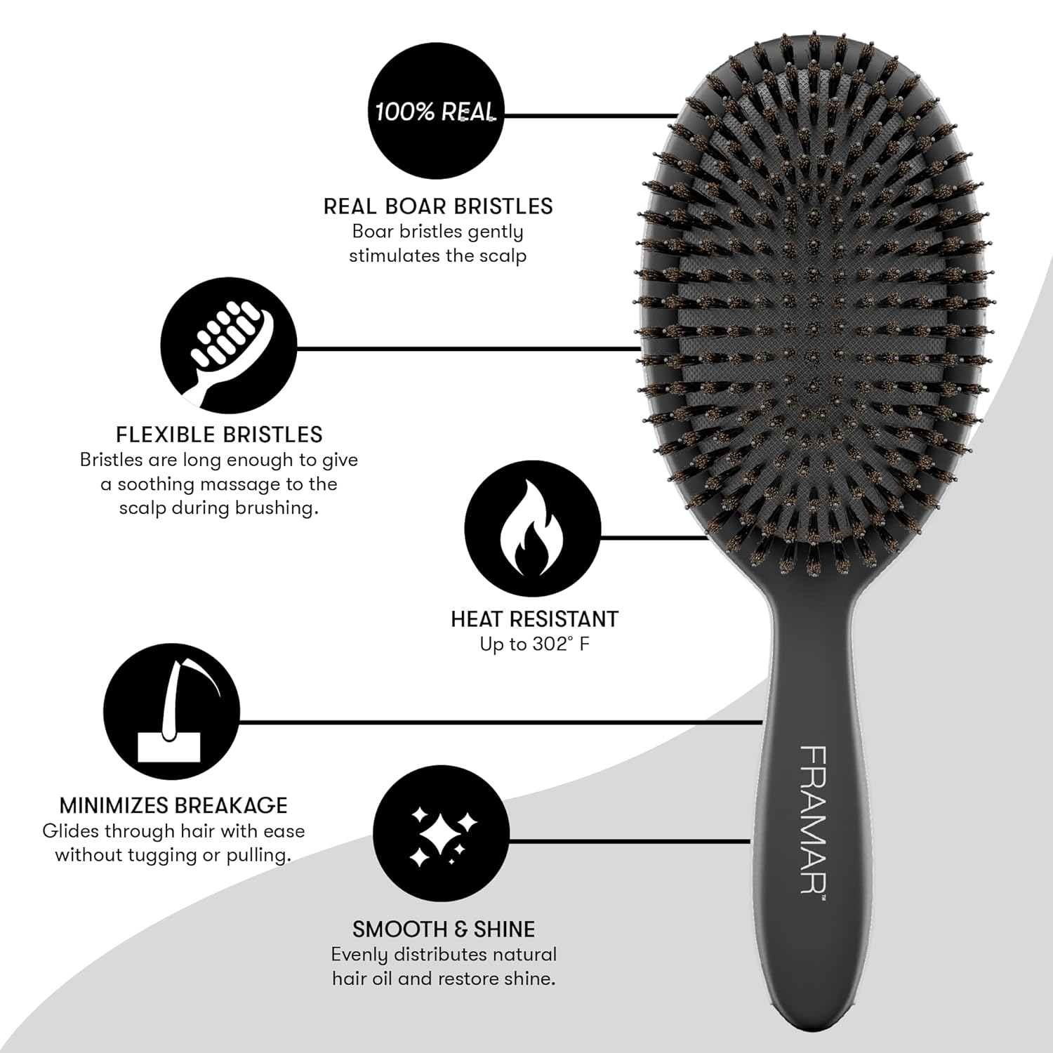 FRAMAR Soft Boar Bristle Hair Brush For Women – Boars Hair Brush For Women, Boar Brush For Fine Hair, Hairbrush For Fine Hair, Soft Bristle Brush For Slick Back, Volume and Shine - Black - Image 4