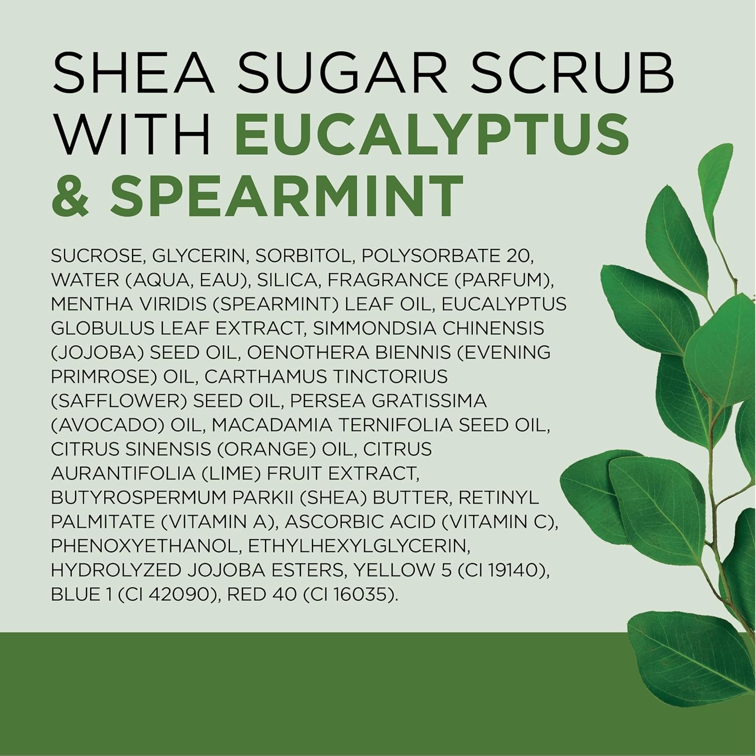 Dr Teal's Shea Sugar Scrub, Eucalyptus & Spearmint Essential Oils, 19 oz (Pack of 3) - Image 7