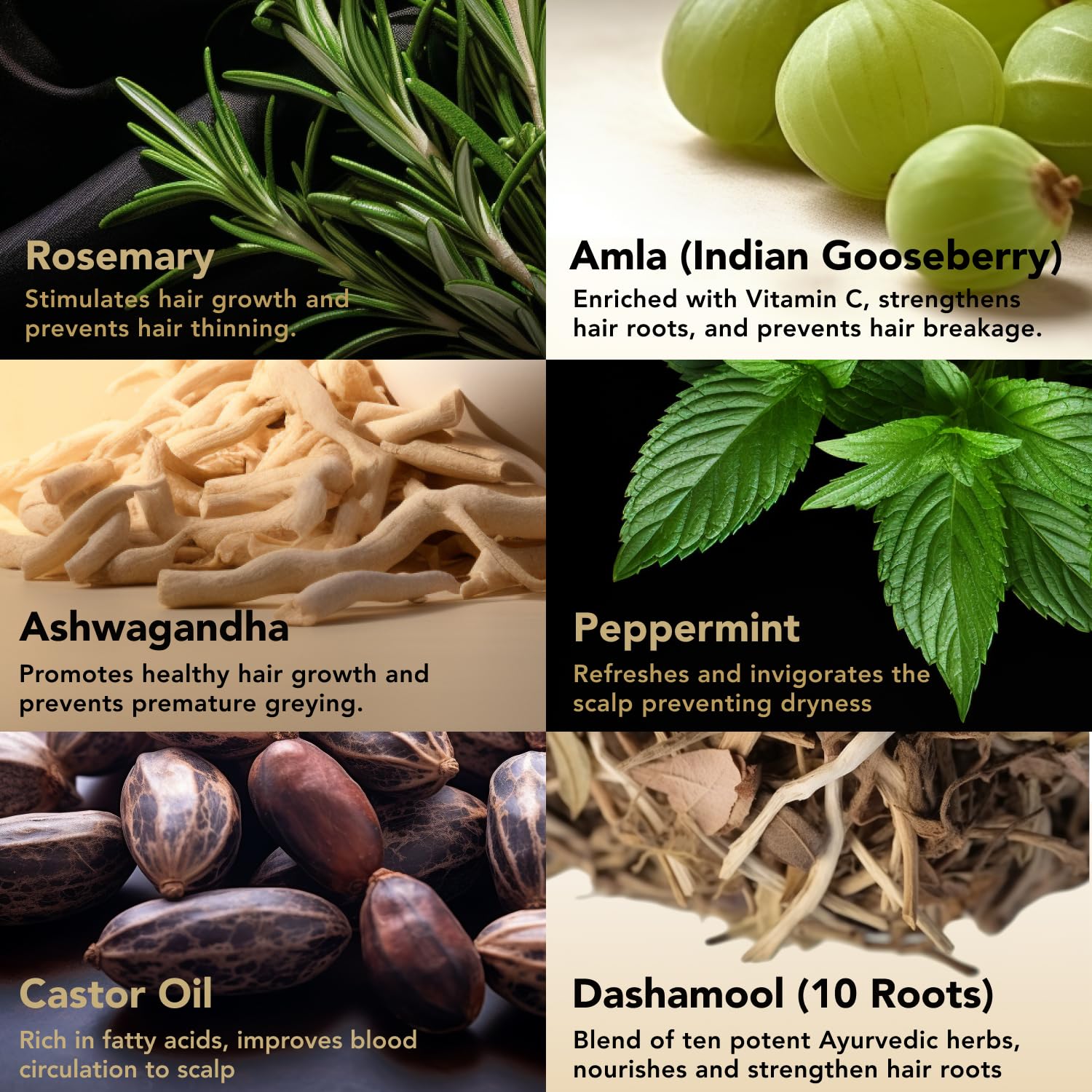 Indian Ayurveda Hair Oil– Organic Castor oil, Jojoba oil, Amla, Ashwagandha & Rosemary oil for hair growth- Repairing scalp treatment, Nourishes Split Ends & Dry Scalp - Image 2