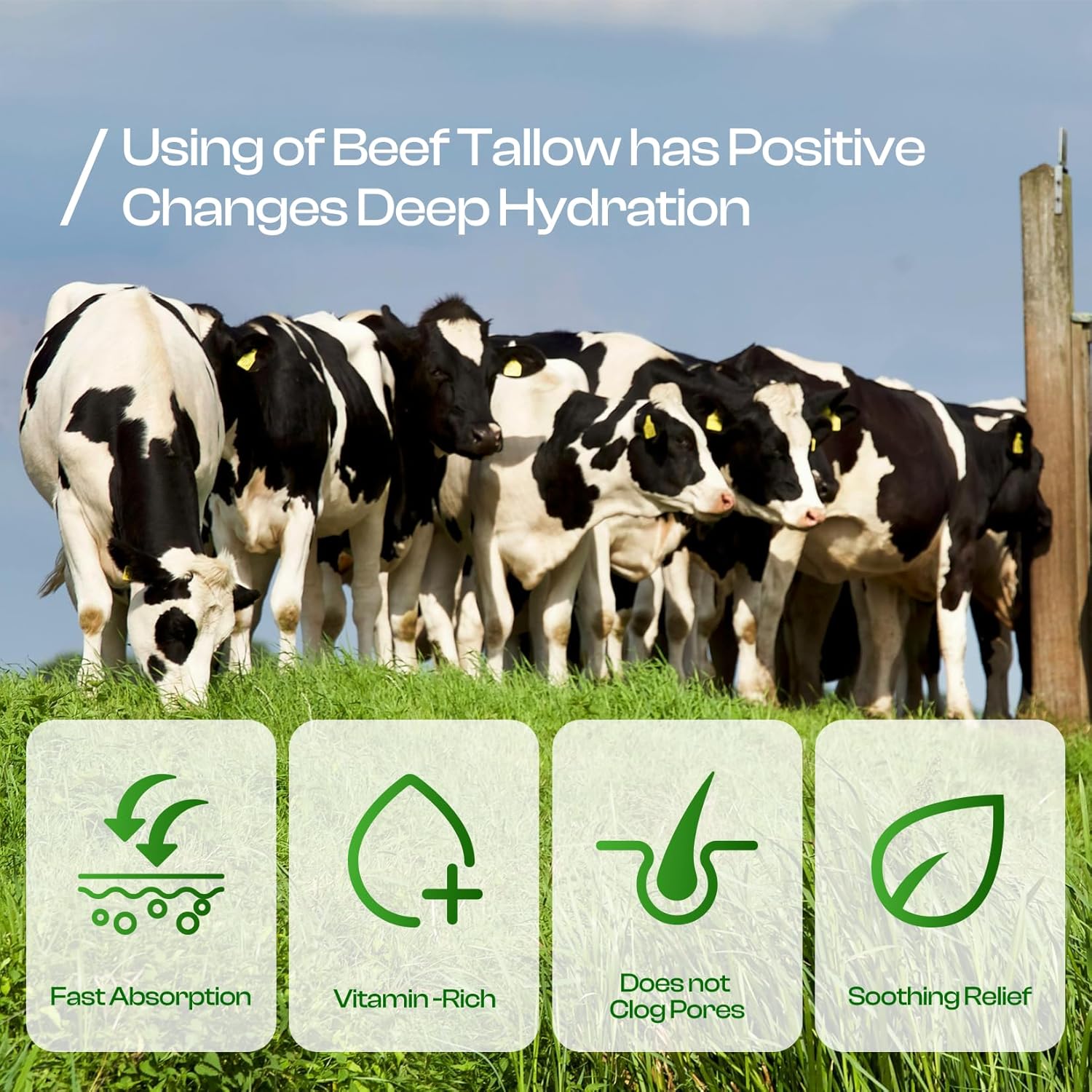 SADOWAY Beef Tallow for Skin: Handmade Beef Tallow for Face - Organic Grass-Fed Whipped Beef Tallow and Honey Balm Tallow Face Moisturizer Smooth Soft for Dry Skin - Image 5