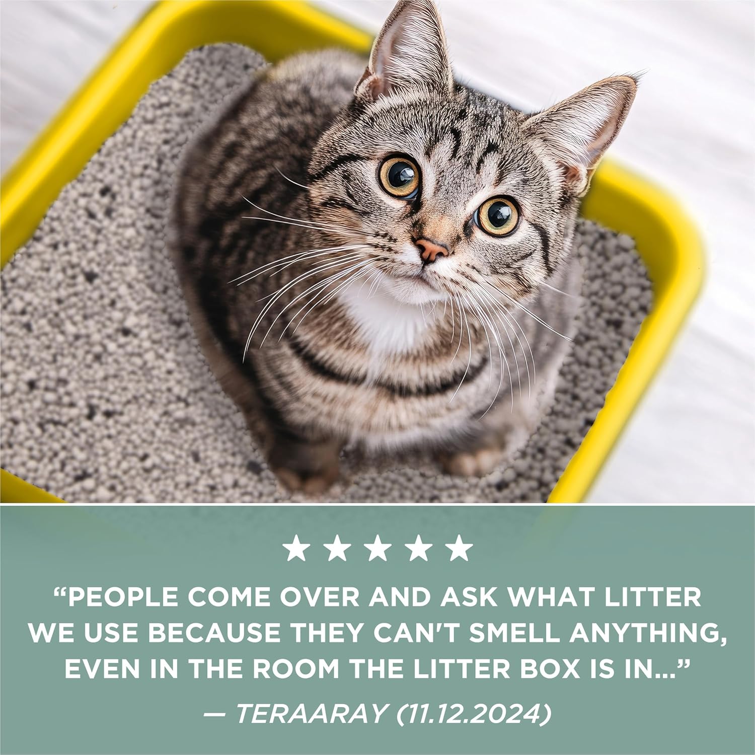Purina Tidy Cats Free and Clean Unscented Cat Litter - 38 lb. Box - Image 5
