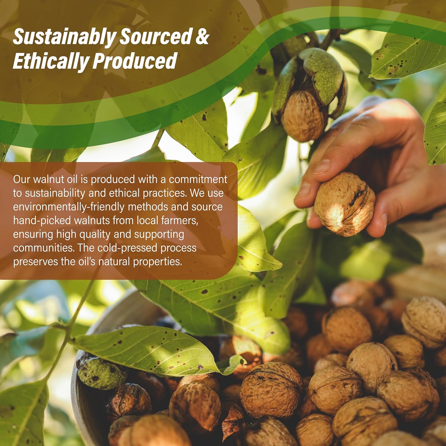Walnut Oil 16 fl. oz. - Cold Pressed 100% Pure Natural - Skin, Body, Face, and Hair Growth Moisturizer. Great For Creams, Lotions, Lip balm and Soap Making. - Image 7