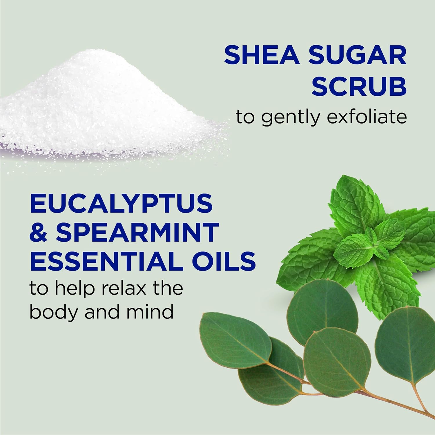 Dr Teal's Shea Sugar Scrub, Eucalyptus & Spearmint Essential Oils, 19 oz (Pack of 3) - Image 2