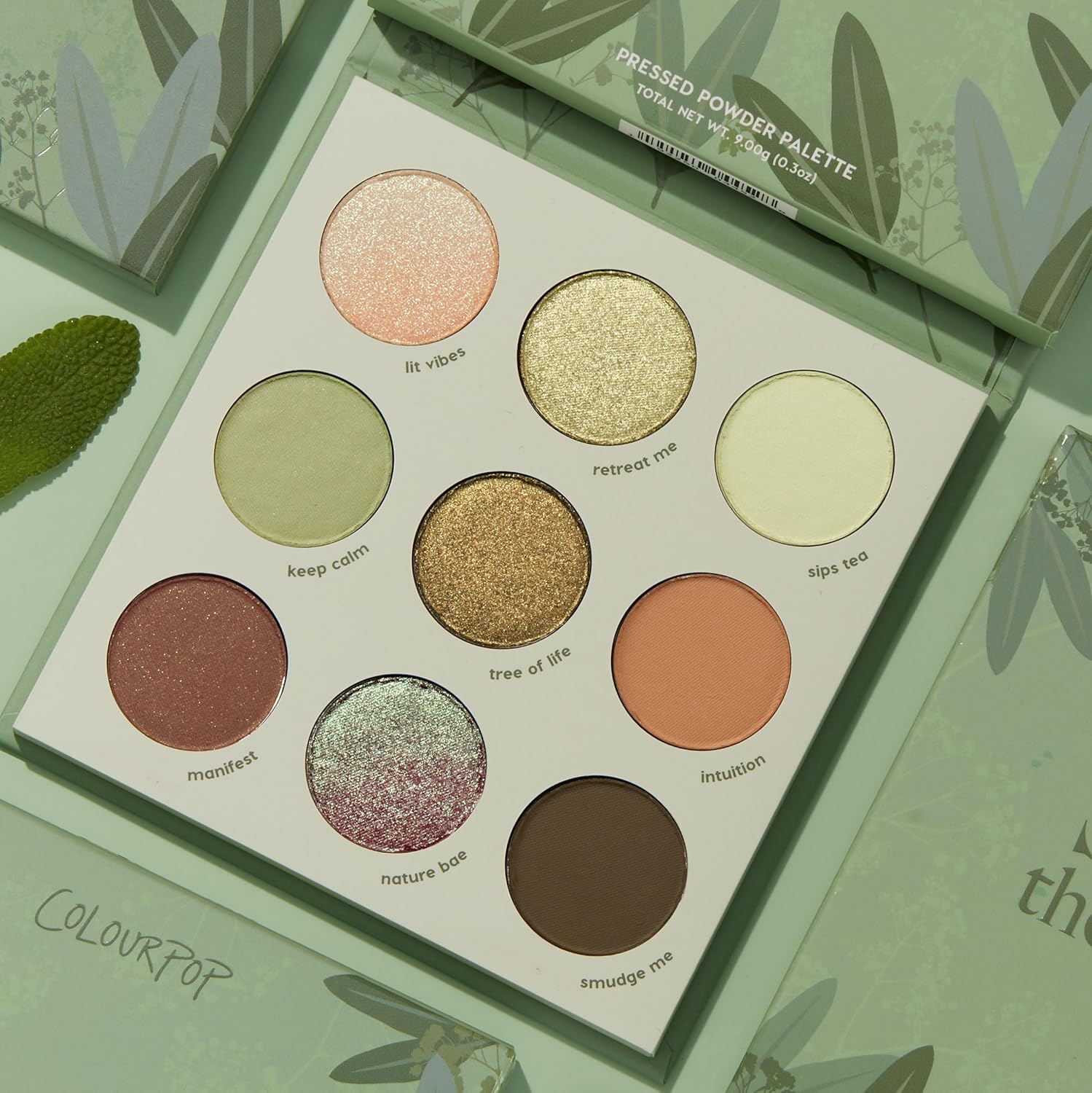 ColourPop Sage the Day Eyeshadow Palette - Sage & Olive Palette with Metallic and Matte Finishes - High-Pigment Eye Makeup with a Long-Wearing Formula (0.3 oz) - Image 5