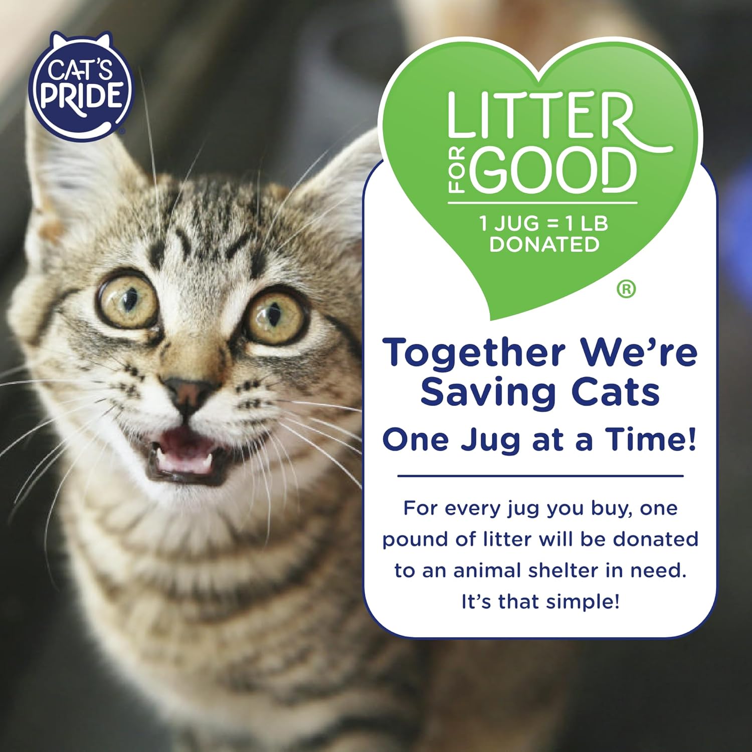 Cat's Pride Max Power: UltraClean Low Tracking Multi-Cat Clumping Litter - Keeps Paws & Home Clean - Up to 10 Days of Powerful Odor Control - 99% Dust Free - Unscented, 15 Pounds - Image 6