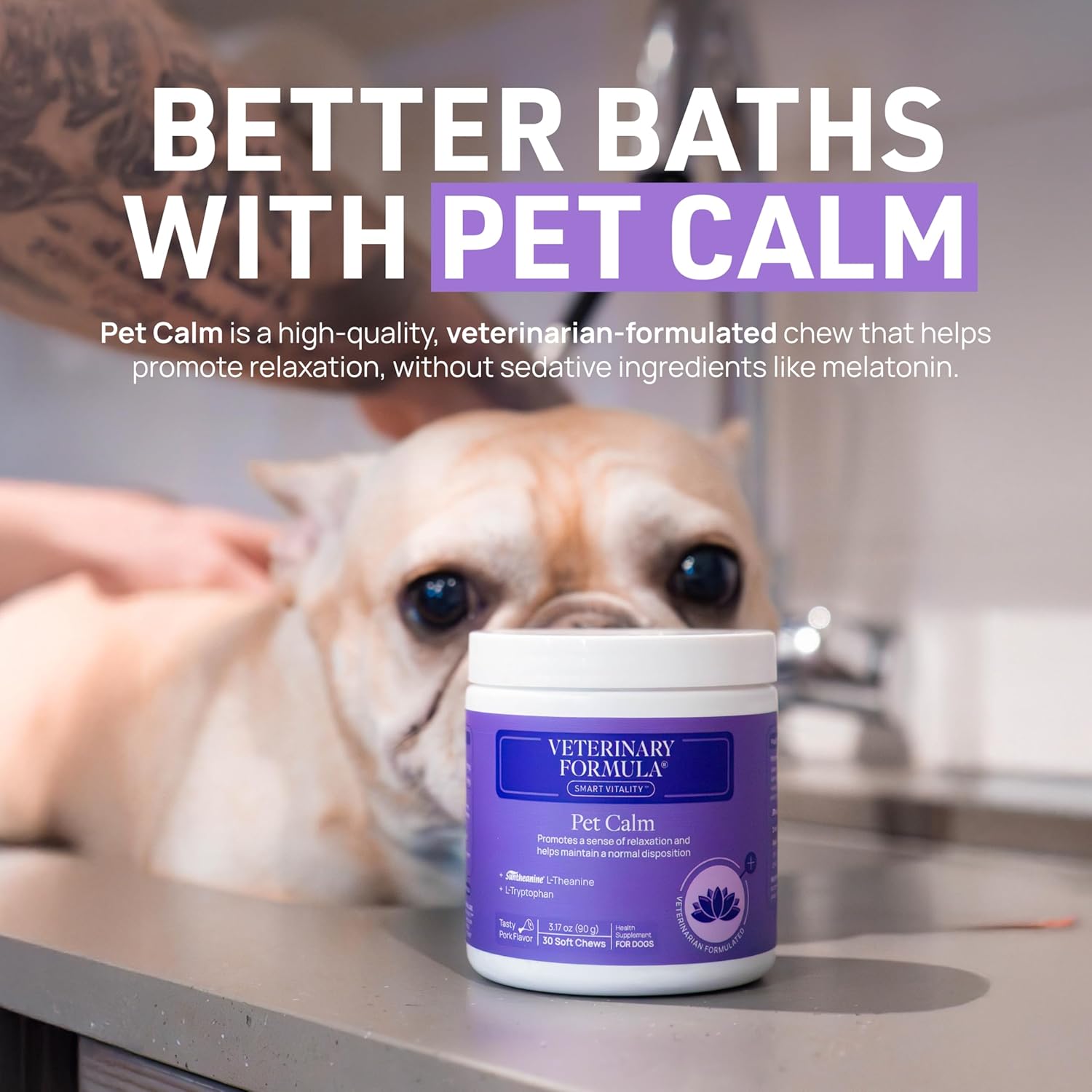 Veterinary Formula Clinical Care Antiparasitic & Antiseborrheic Medicated Dog Shampoo, 16 oz – Paraben, Dye, Soap Free – Hydrating and Antifungal Shampoo for Dogs, White - Image 9
