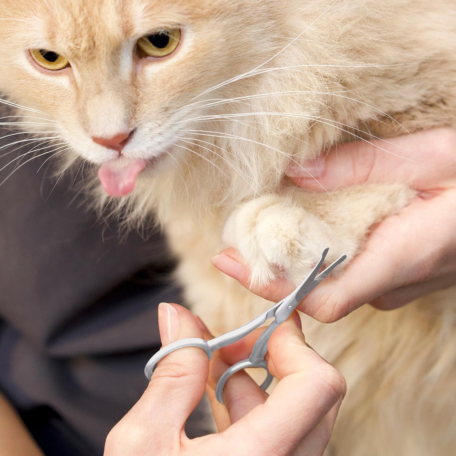 Tweezerman Pet Grooming Scissors, Stainless Steel Rounded Tip Trimming Shears for Dogs and Cats - Image 7