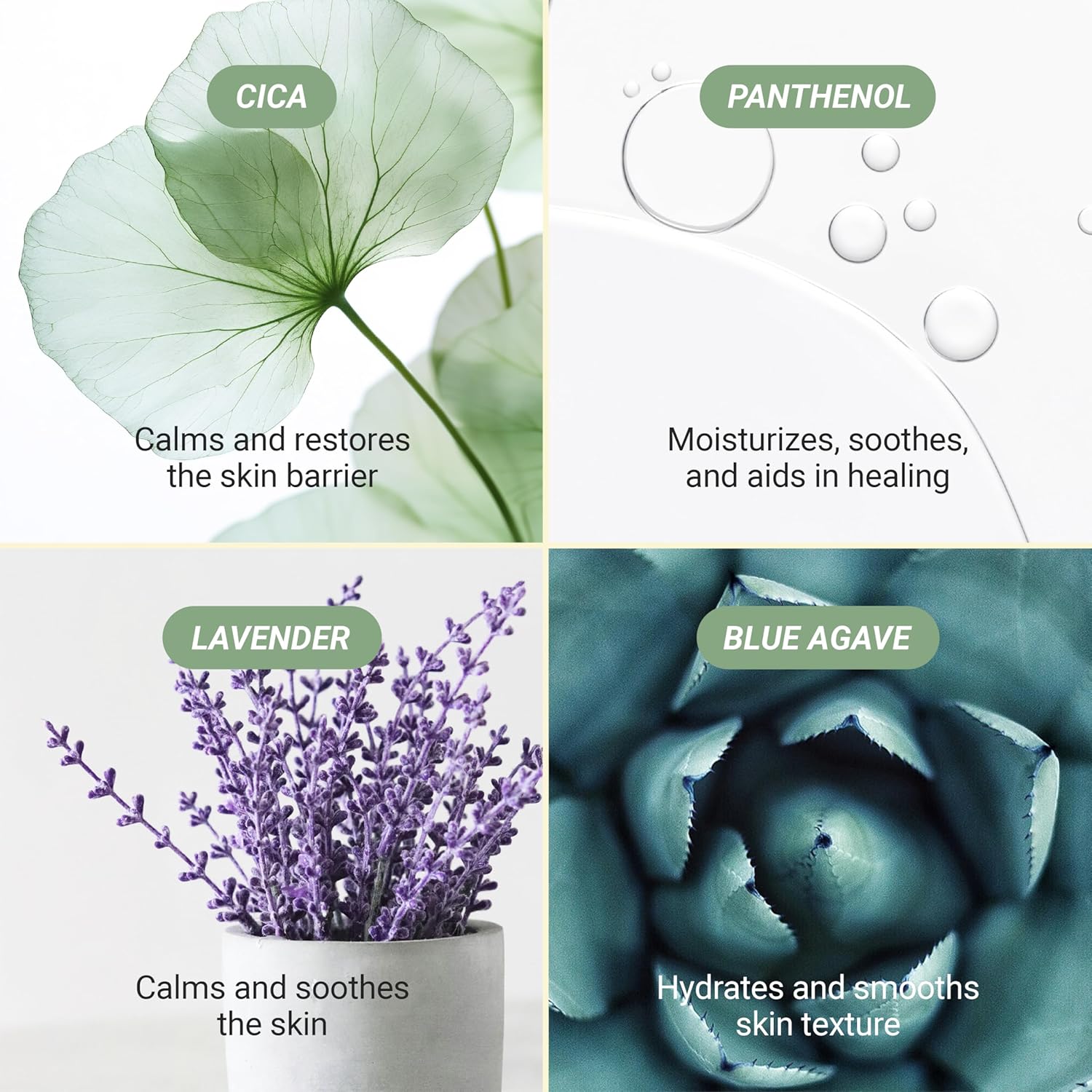 Meebak Cica Cleansing Water Pads | Makeup Remover Pads | Face Cleansing Wipes | Exfoliation Toner Pad | Hydrating & Toning for Sensitive Skin - 80ct - Image 6