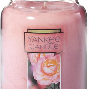 Yankee Candle Fresh Cut Roses Scented Premium 22oz Single Wick Candle Over 110 Hours of Long-Lasting Aroma Ideal for Home Decor Gifting and Events Classic Large Jar Pink