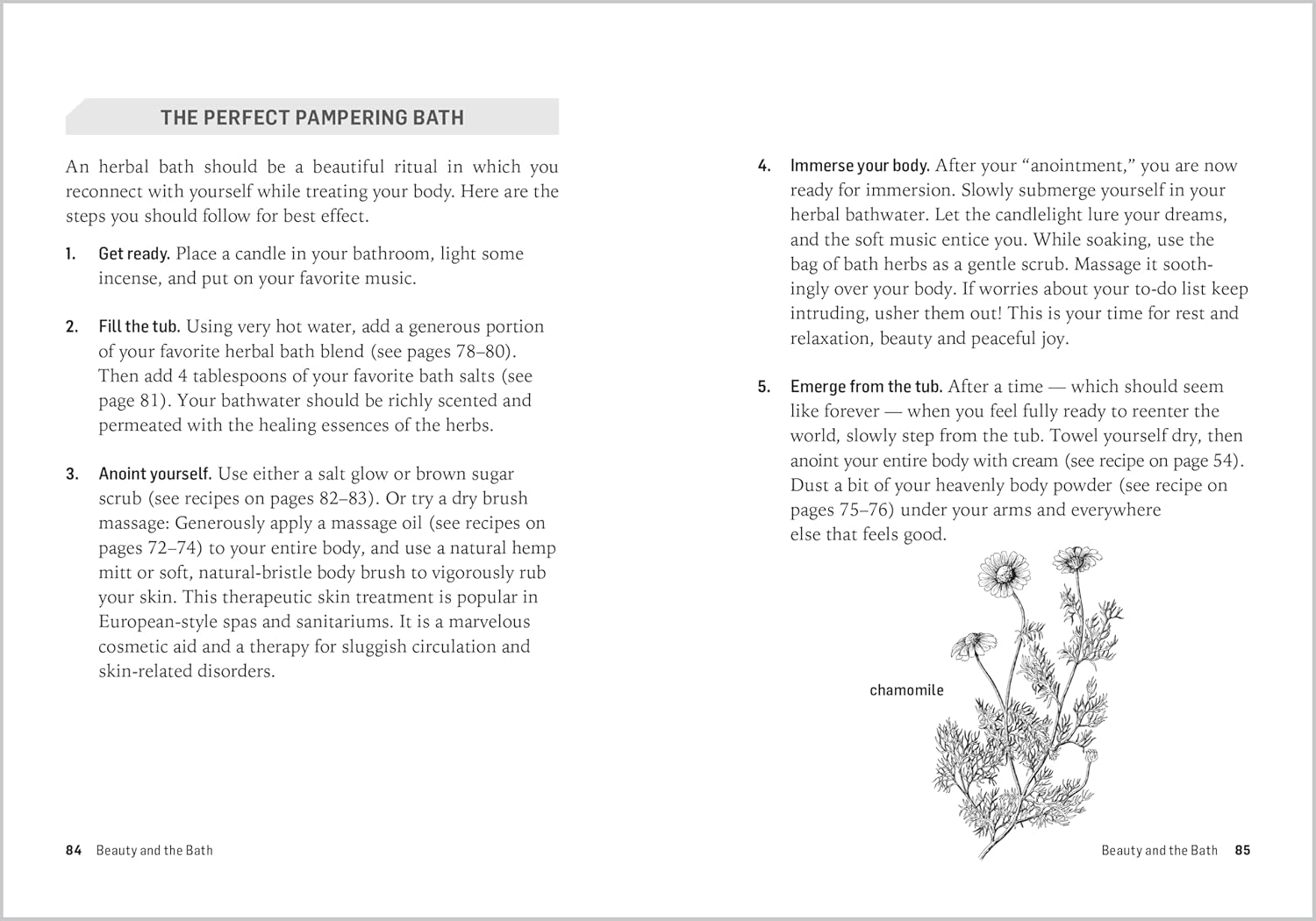 Herbs for Natural Beauty: Create Your Own Herbal Shampoos, Cleansers, Creams, Bath Blends, and More. A Storey BASICS® Title - Image 5