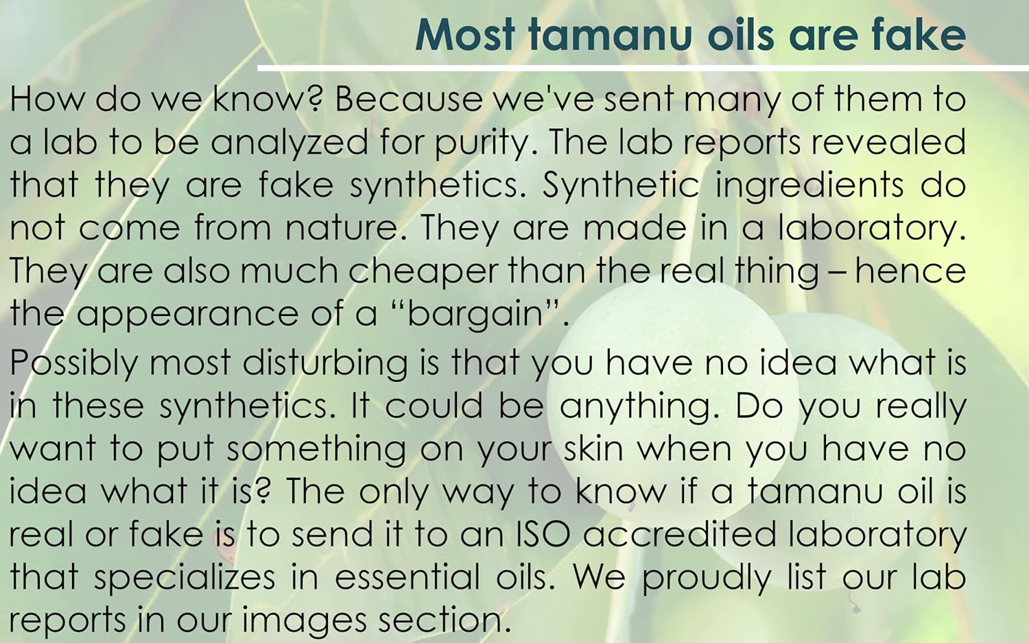 PUR360 Tamanu Oil - Best Treatment for Psoriasis, Eczema, Acne Scar, Rosacea - Relief for Dry, Scaly Skin, Scalp and More - Cold Pressed – Proven 100% Pure - Image 2