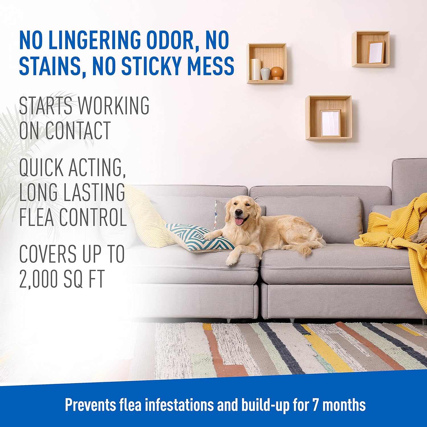 Plus Flea & Tick Carpet Spray, Kills Fleas, Flea Eggs, Flea Larvae, Ticks, Ants, Roaches, Spiders, Waterbugs & Many Other Listed Nuisance Pests In The Carpet, Treats Up to 2,000 Sq Ft, 16 Ounces - Image 5