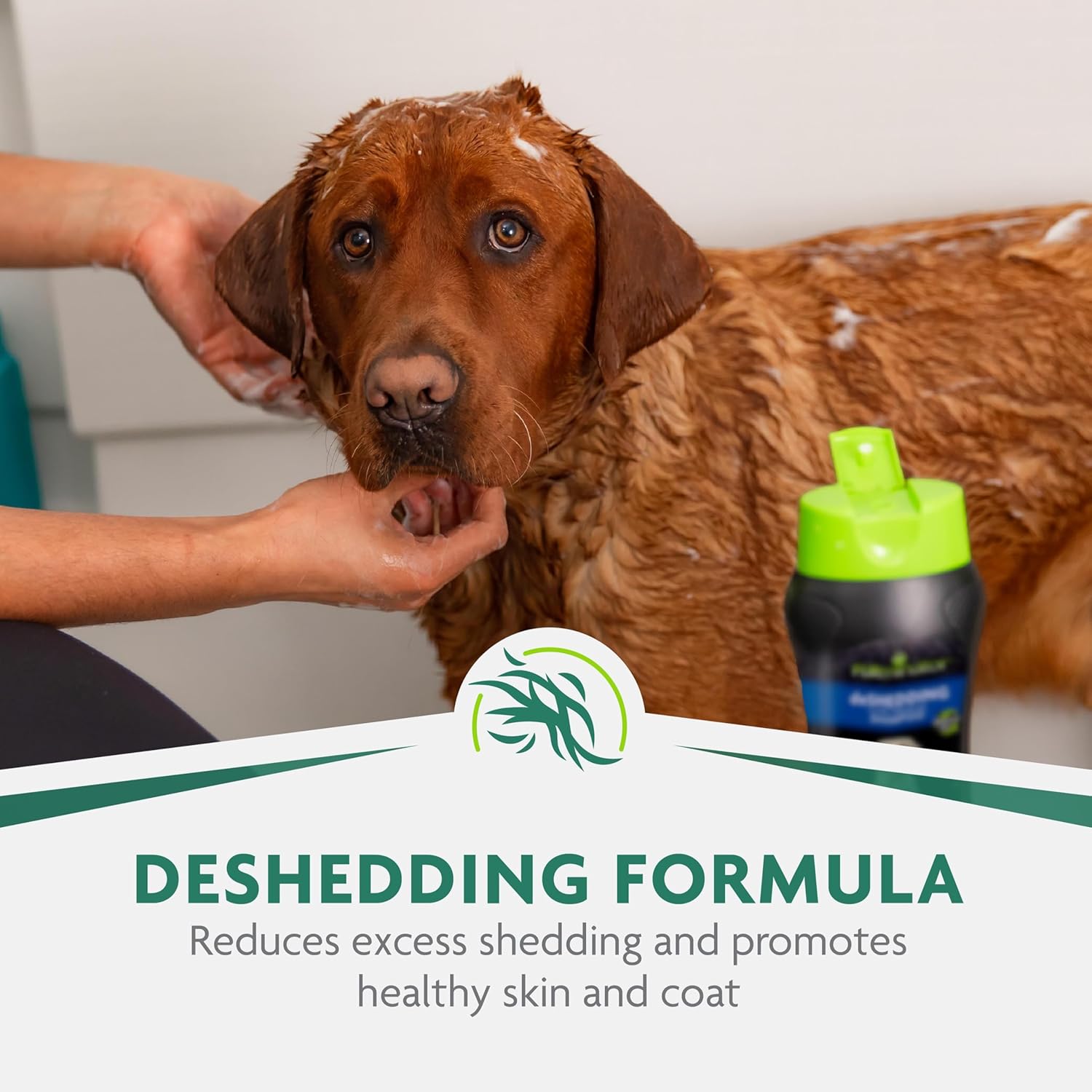 FURminator Ultra Premium deShedding Shampoo for Dogs Helps Reduce Excess Shedding, 16 oz - Image 6