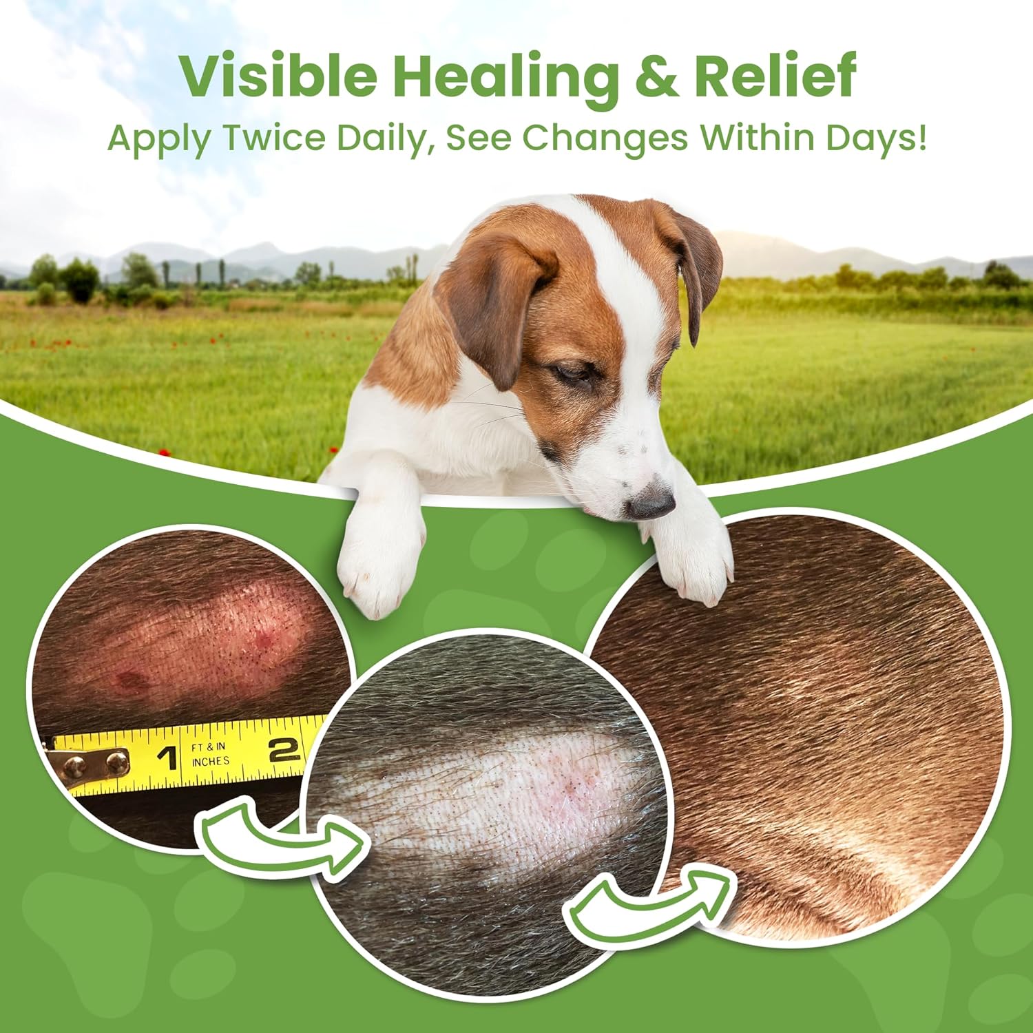 Hot Spot Treatment for Dogs, Cats & Pet Wound Care: Healing Ointment for Pets Itchy Skin Relief, Dry Skin Treatment, Natural Allergy Relief, Dog Paw Balm + Manuka Honey, Aloe Vera, Vitamin E (2 Oz.) - Image 5