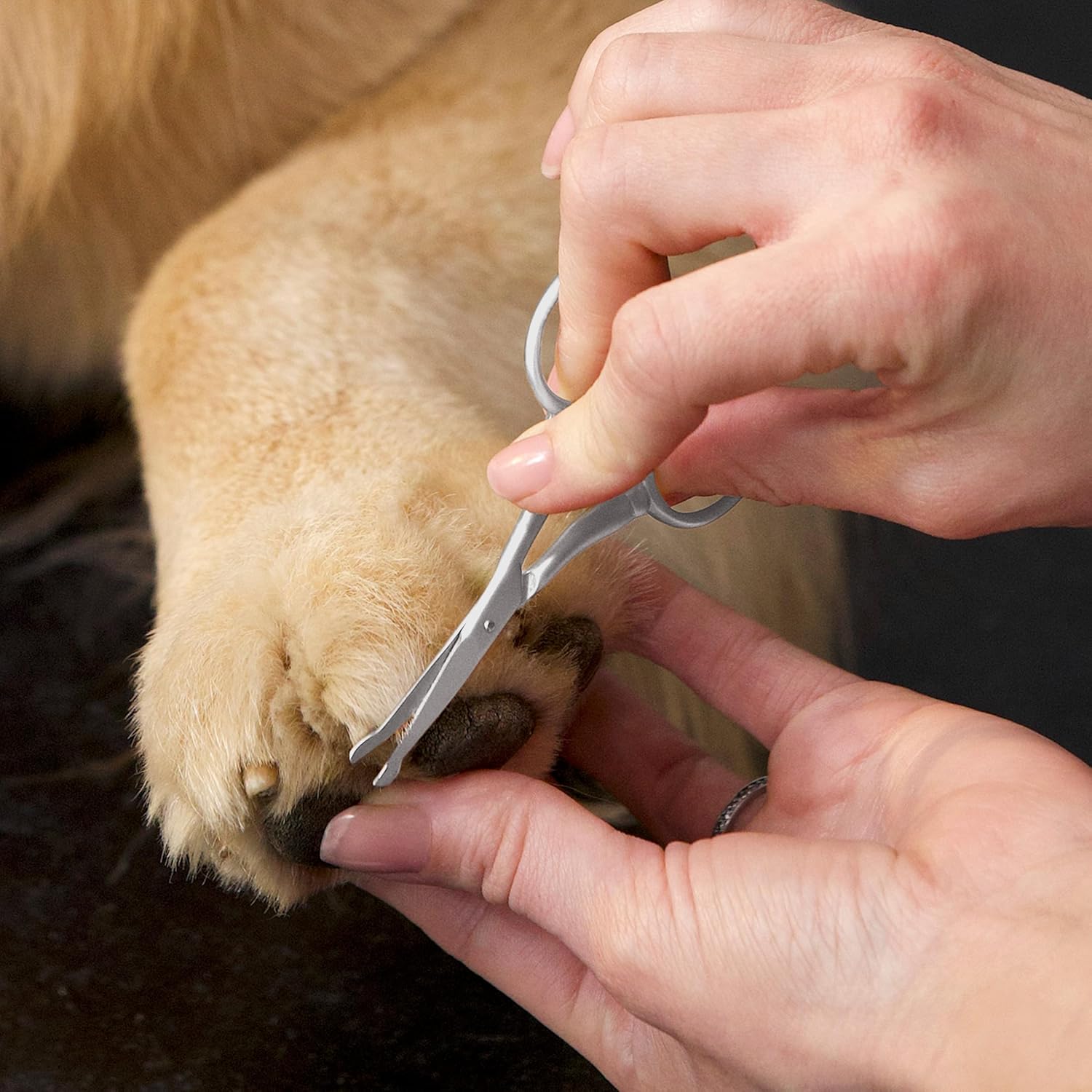 Tweezerman Pet Grooming Scissors, Stainless Steel Rounded Tip Trimming Shears for Dogs and Cats - Image 6