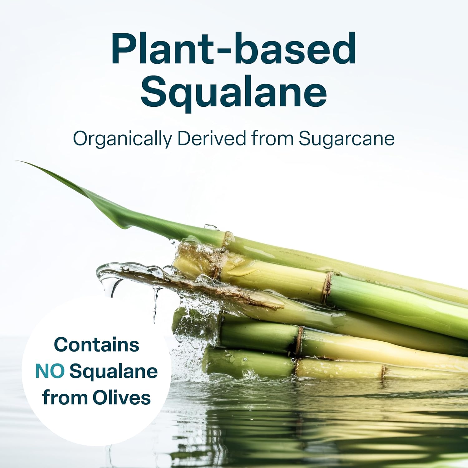 QRxLabs Pure Plant-Based Squalane Oil with Vitamin E (2 oz) - Organic ECOCERT/USDA Certified Squalane from Sugarcane - Moisturizer for Face, Body, Skin & Hair - Image 8