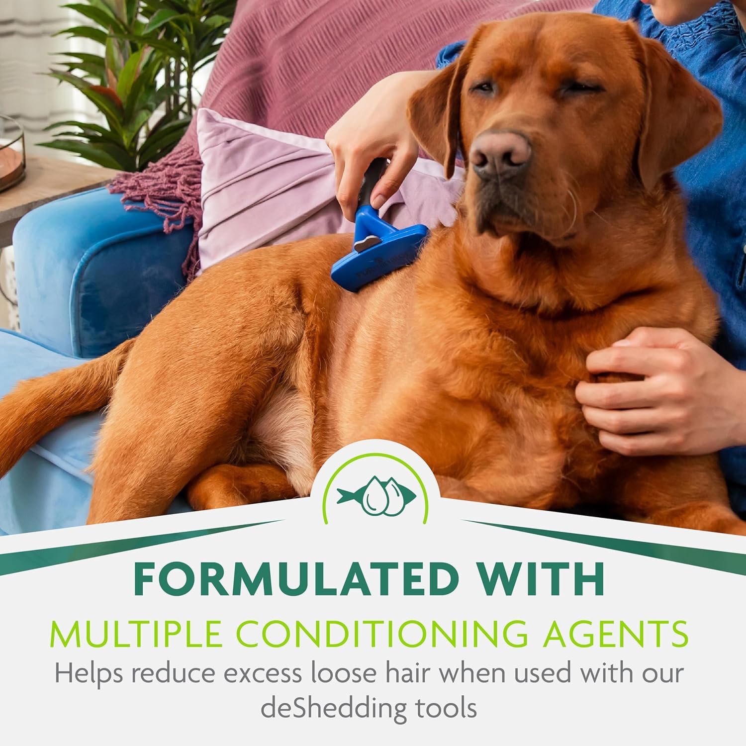 FURminator Ultra Premium deShedding Shampoo for Dogs Helps Reduce Excess Shedding, 16 oz - Image 7