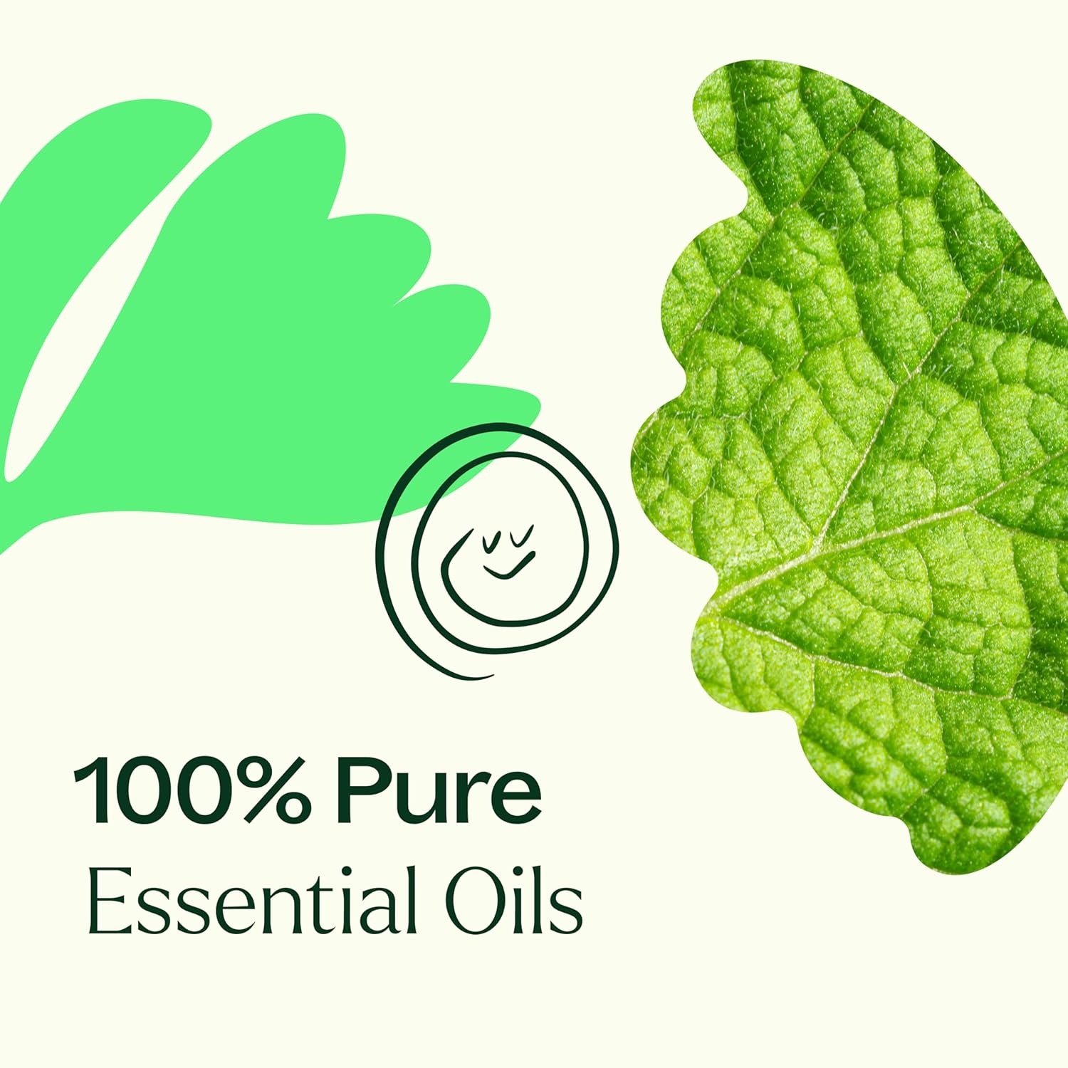 Plant Therapy Gut Aid Essential Oil Blend 10 mL 100% Pure Natural Aromatherapy for Stomach Relief - Image 5