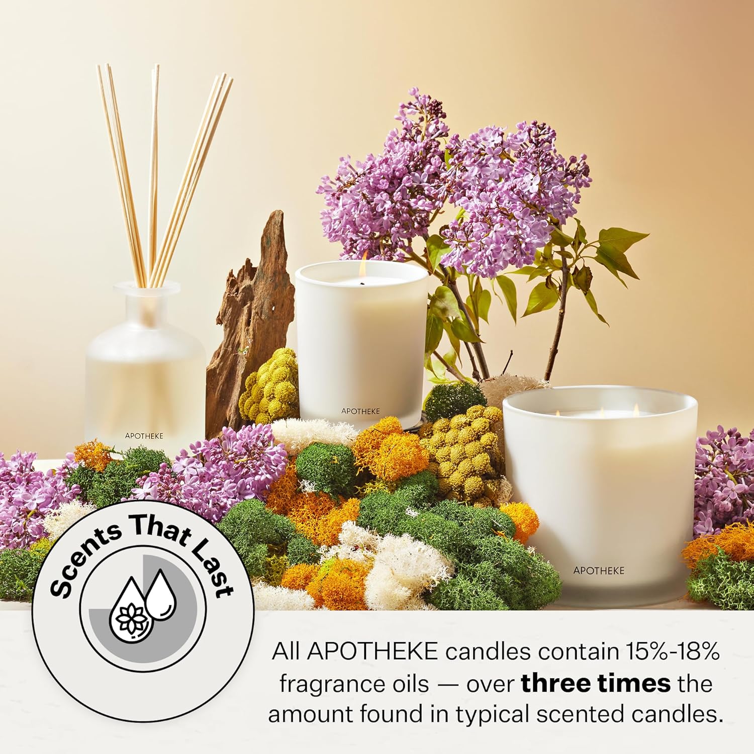 Apotheke Luxury Scented Candles for Home, Earl Grey Bitters - Aromatherapy Jar Candle with Soy Wax Blend - Image 4