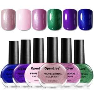 10ml 6 Colors Nail Polish Set Glitter Dark Green Glitter Pink Deep Blue Series Nail Polish Gifts for Women