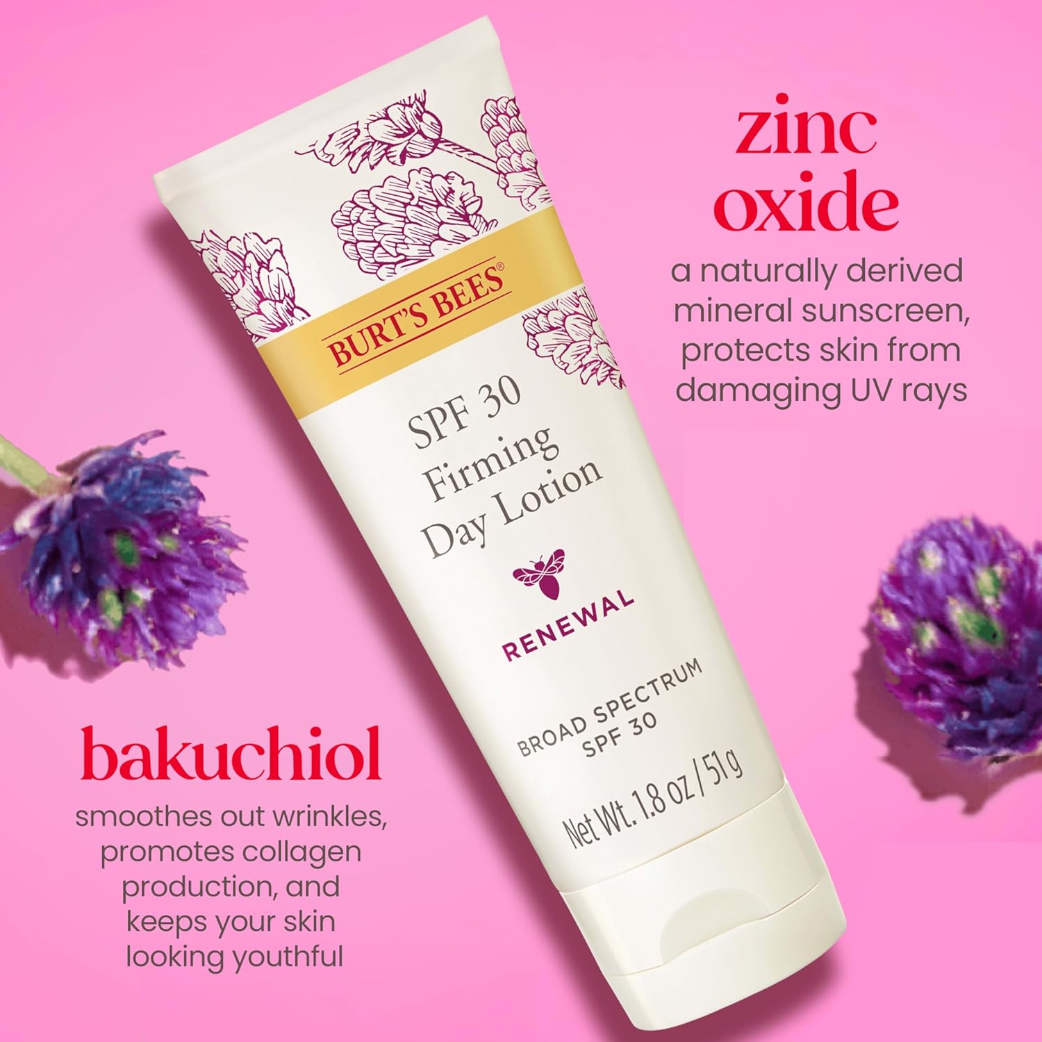 Burt's Bees Renewal SPF 30 Firming Day Face Lotion With Bakuchiol, Sunscreen Face Lotion With Natural Retinol Alternative, 98 Percent Natural Origin Skin Care, 1.8 oz. Tube - Image 3