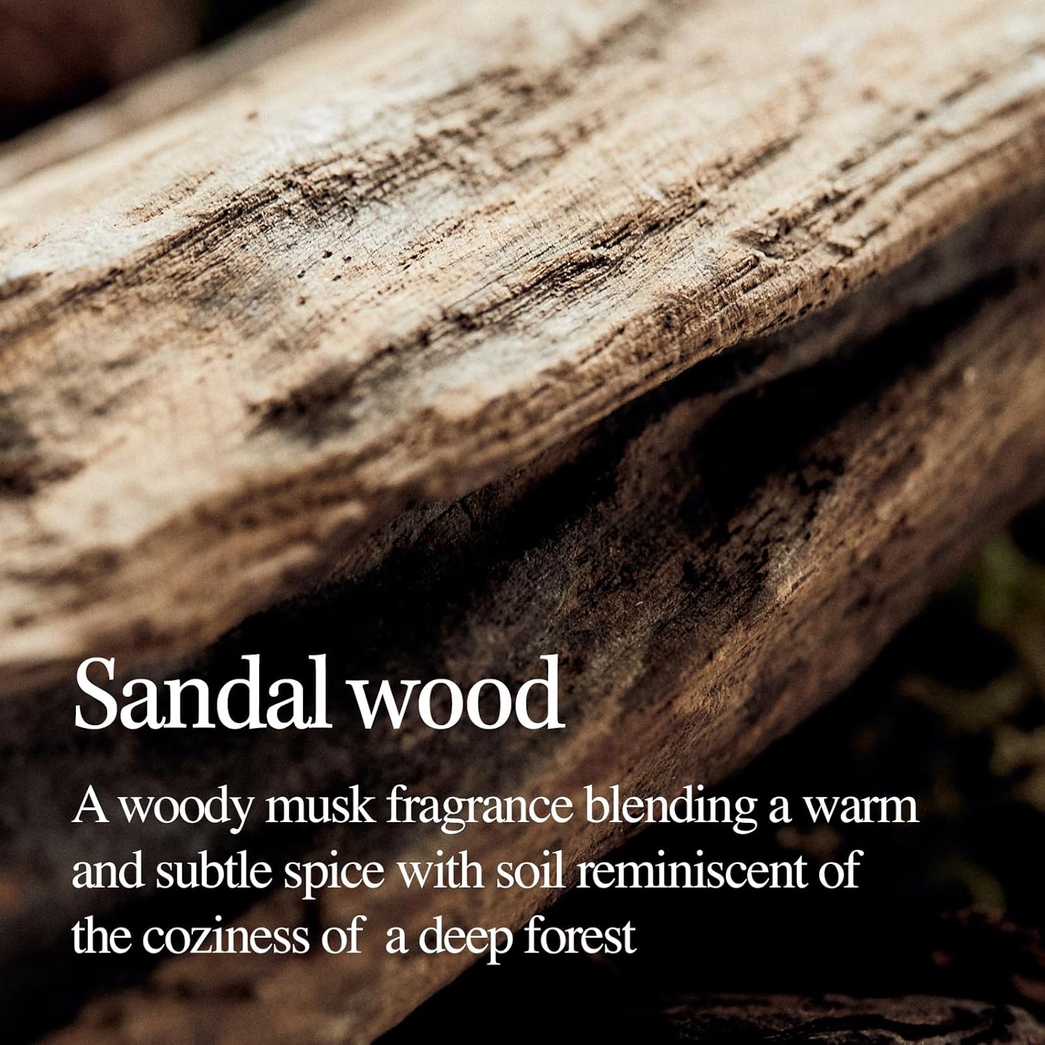 Sandalwood Intensive Perfume Body Lotion 6.76 Fl OzㅣSoothing protectionㅣStrengthening skin barrier, HydratingㅣLightweight Formula - Image 5