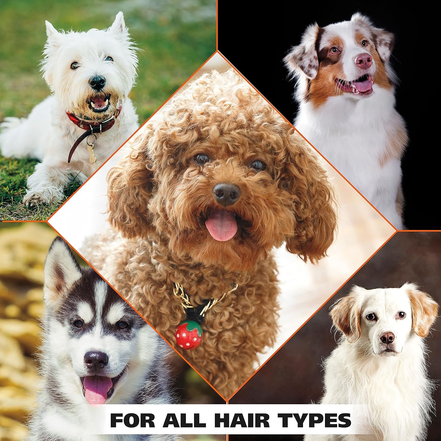 Wahl USA 4-in-1 Calming Pet Shampoo for Dogs โ Cleans, Conditions, Detangles, & Moisturizes with Lavender Chamomile - Pet Friendly Formula โ 64 Oz - Model 821000-050 - Image 7