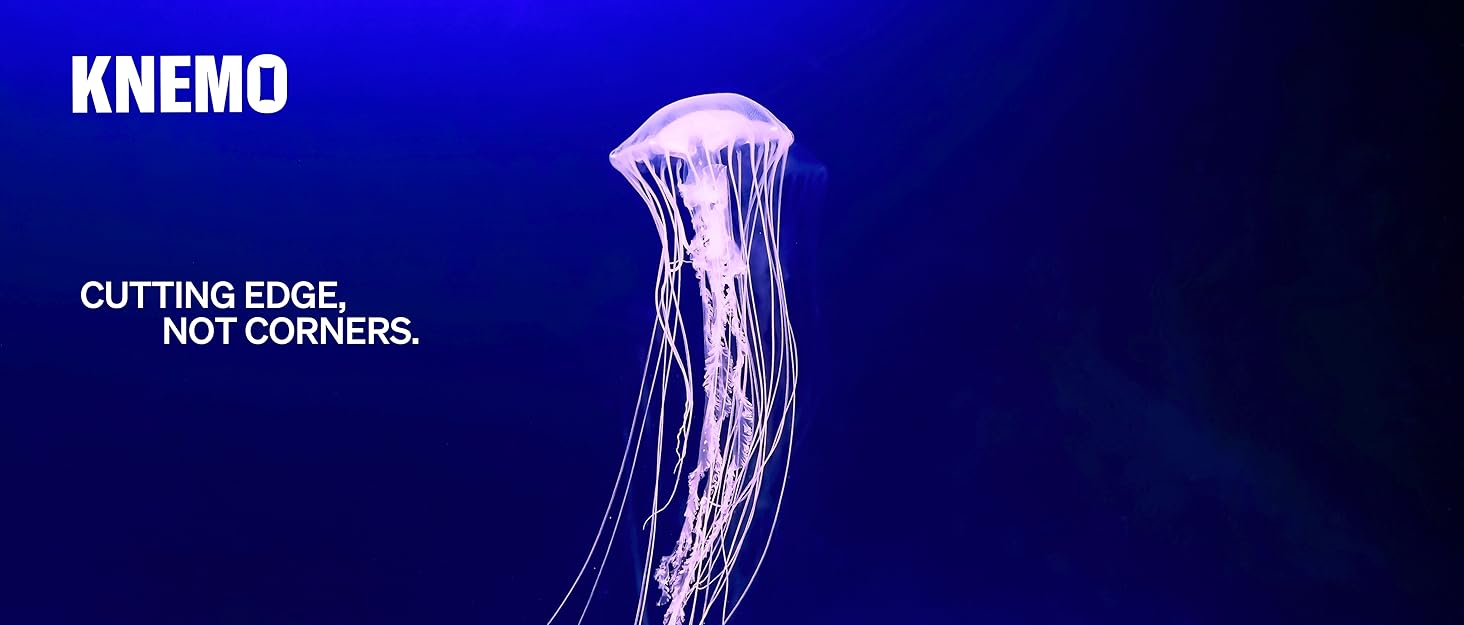 knemo background with jellyfish